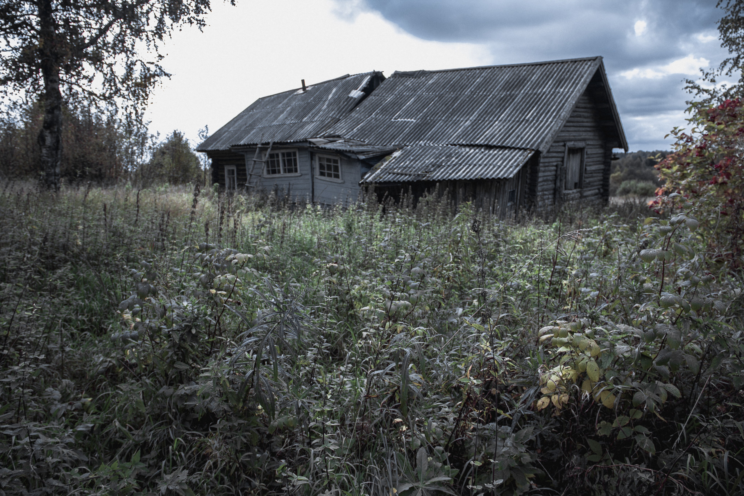 Заброшенная Россия: Мантурово. Фотограф в Германии — Мария Чистякова