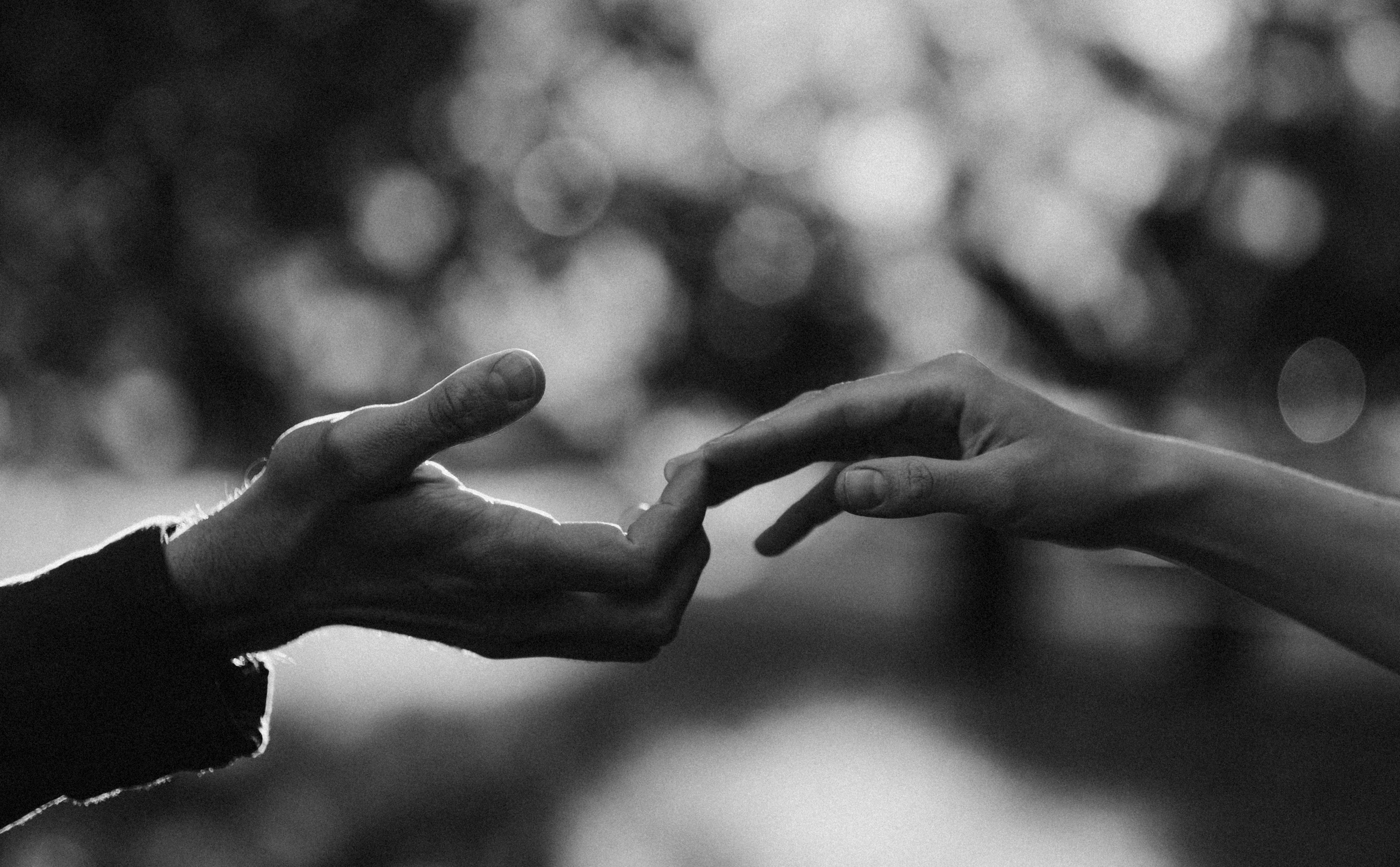 Federico, Dasha, Vera & Yura. Фотографы Минск и мир