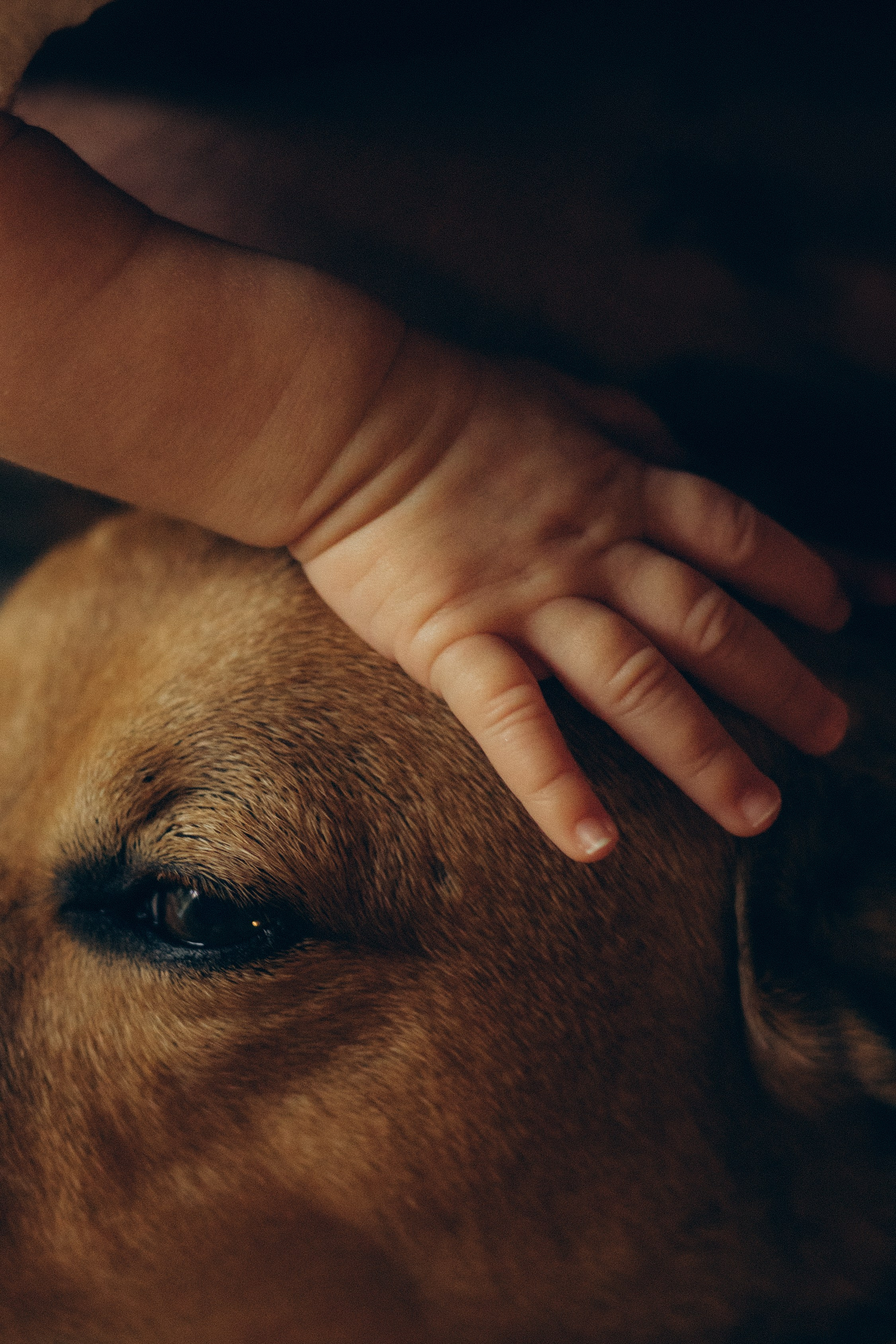 Katerina Sellitti - Newborn Fotografin aus Bern. Schweiz