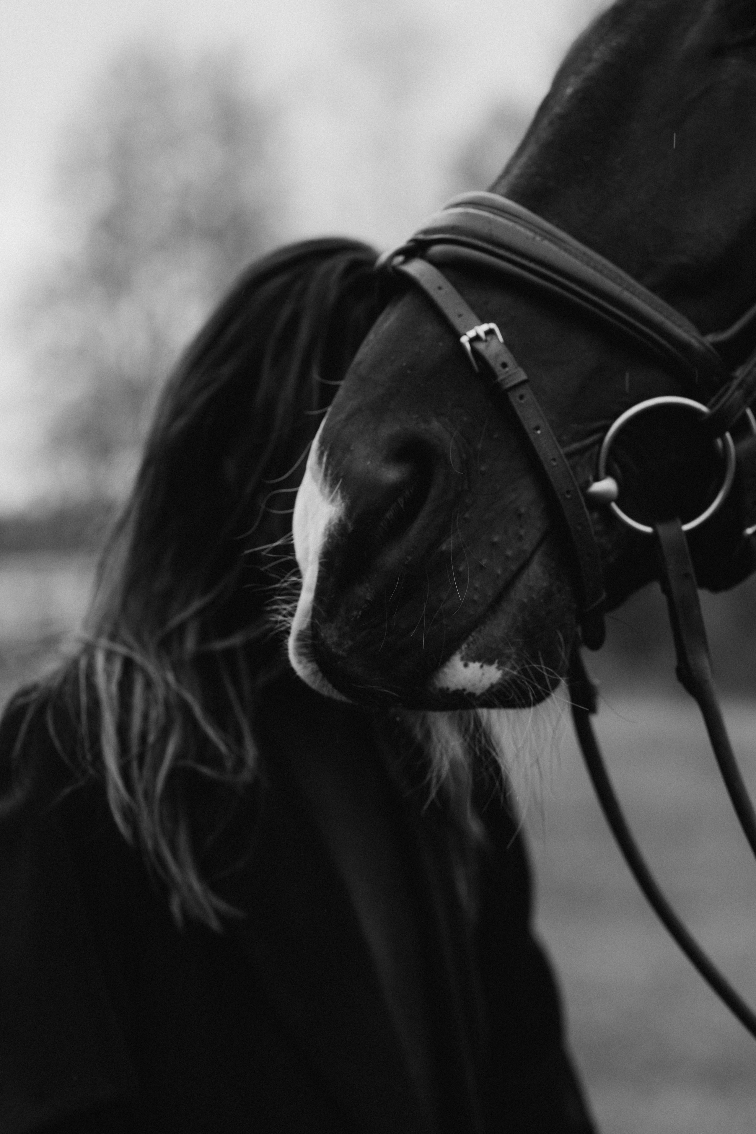 Susanna Hyypiä. Wedding and portrait photographer in Helsinki Vickan O