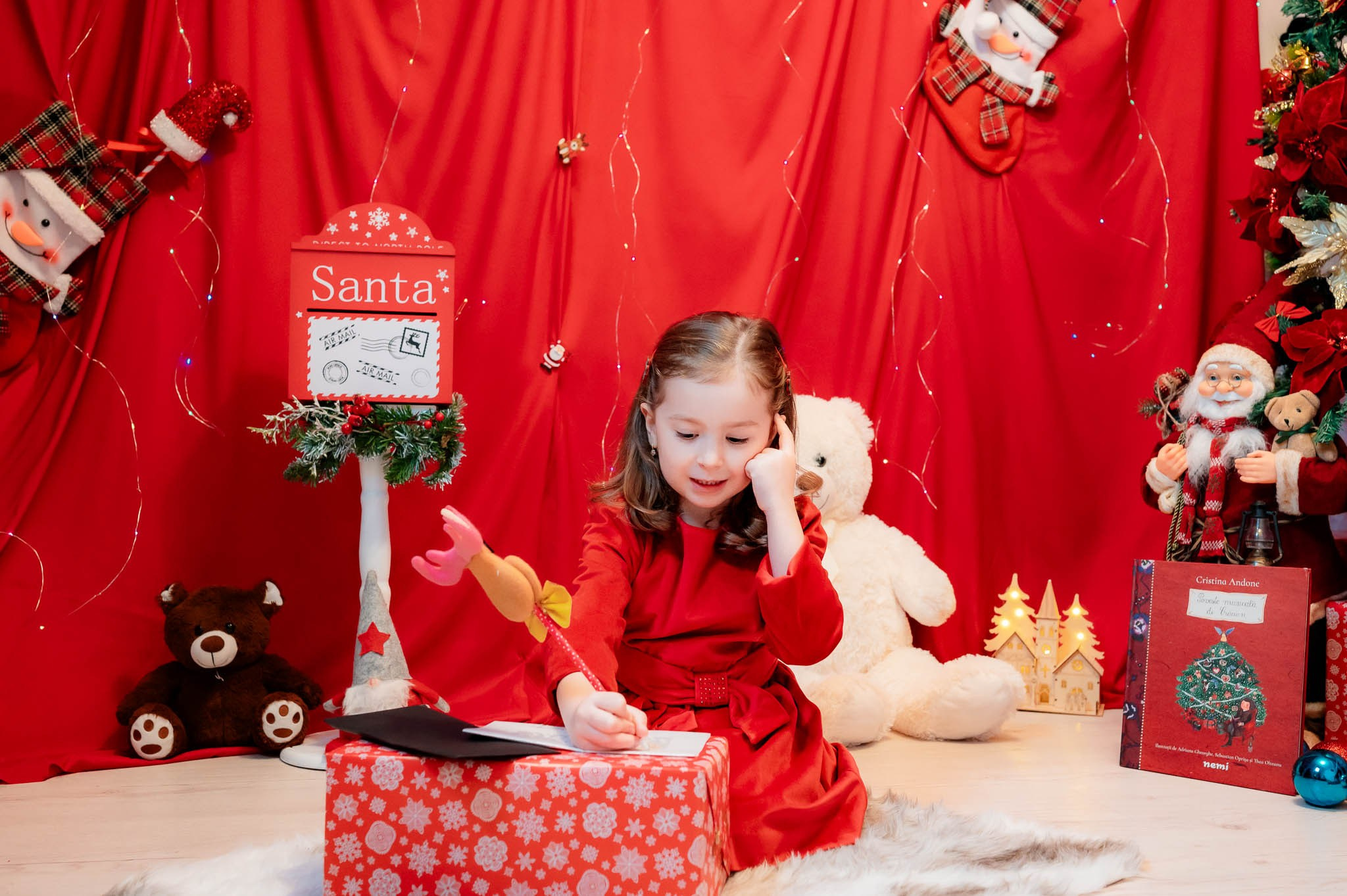 Sedinta Craciun Nicoleta