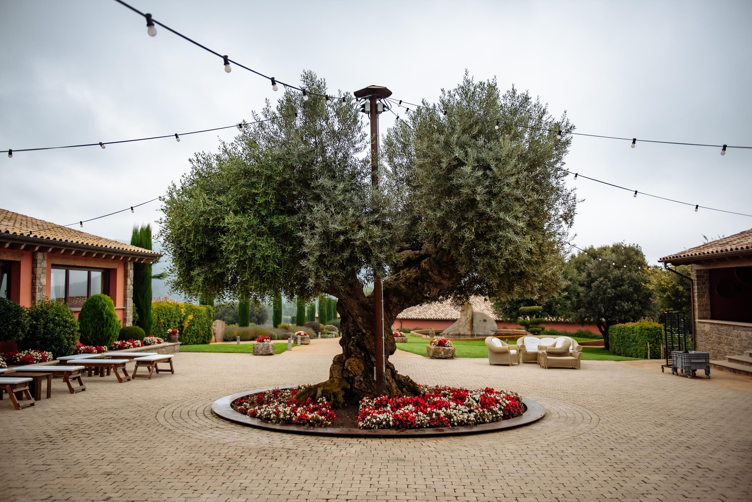 Carola & Enric. Фотограф Екатерина Гасанова — фотосессии в Барселоне