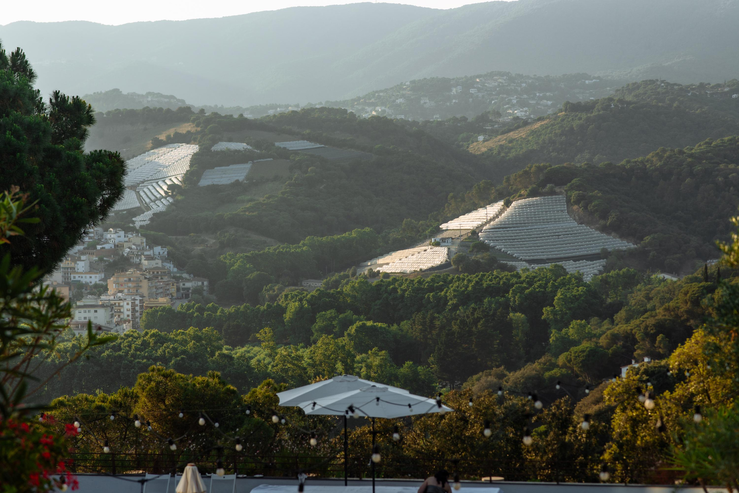 Gisela & David. Professional photography services in Barcelona by Ekaterina Gasanova
