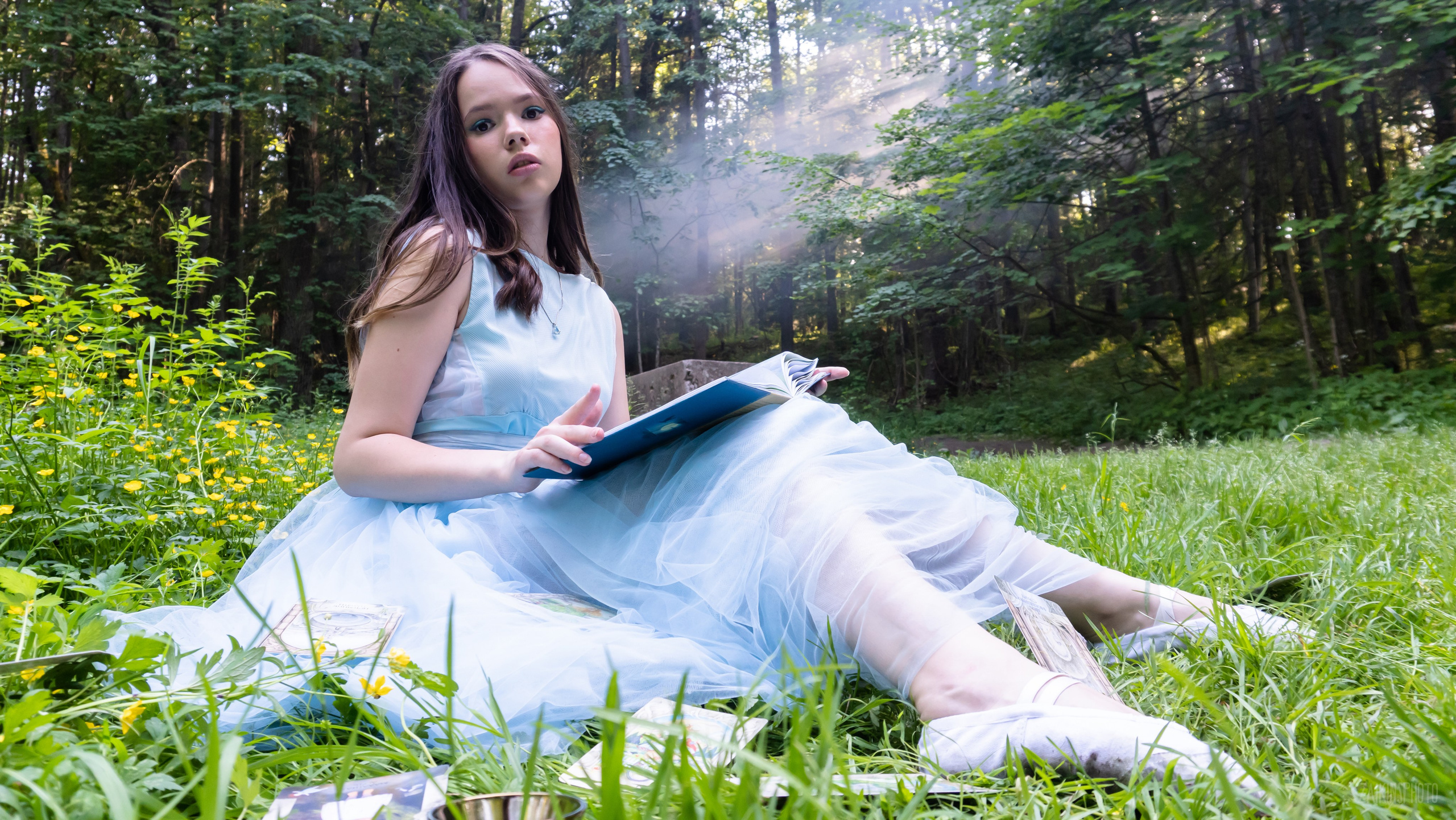 Alice In Wonderland. Main