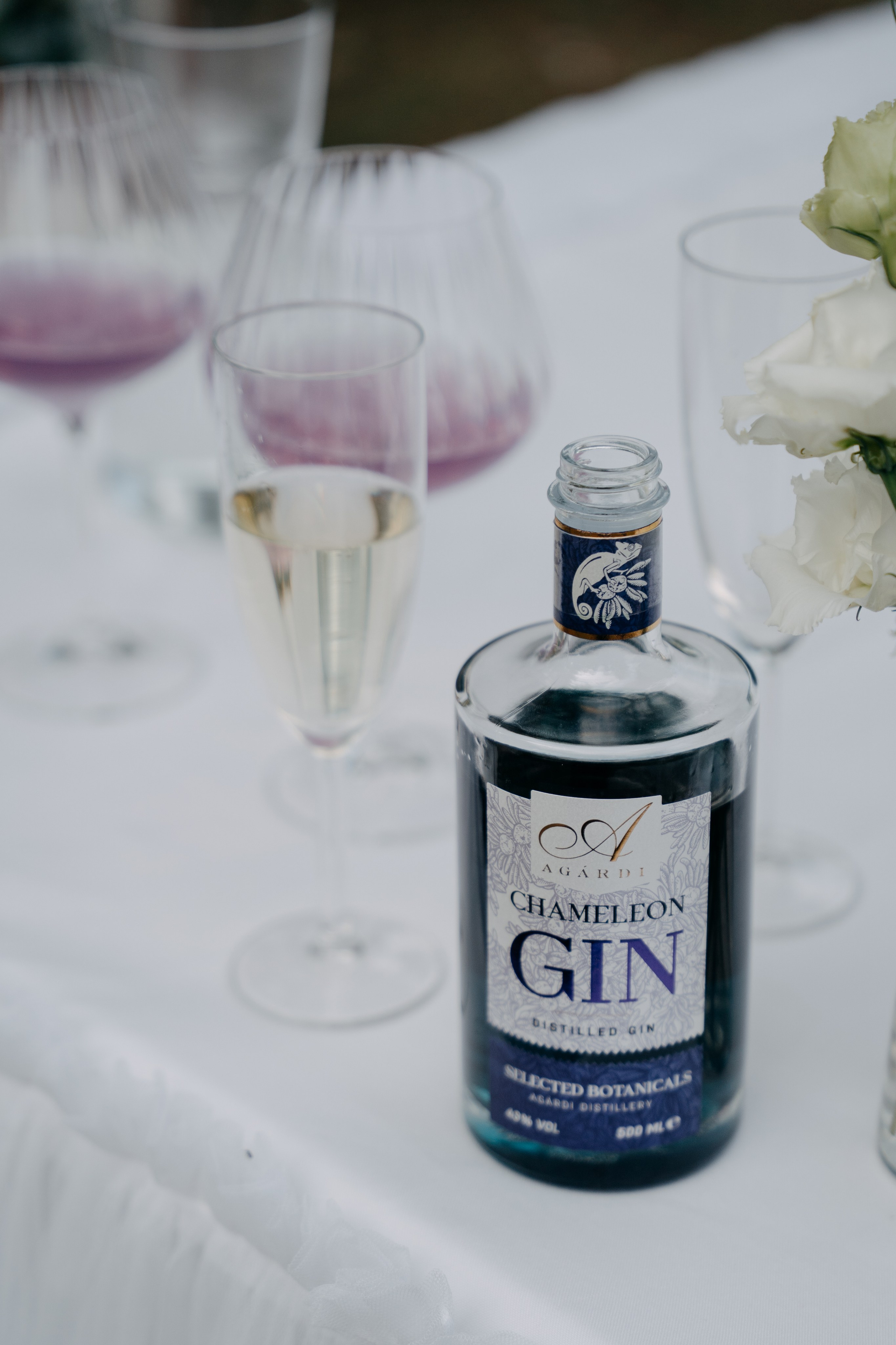 Vivi + Gábor. Kezdőlap