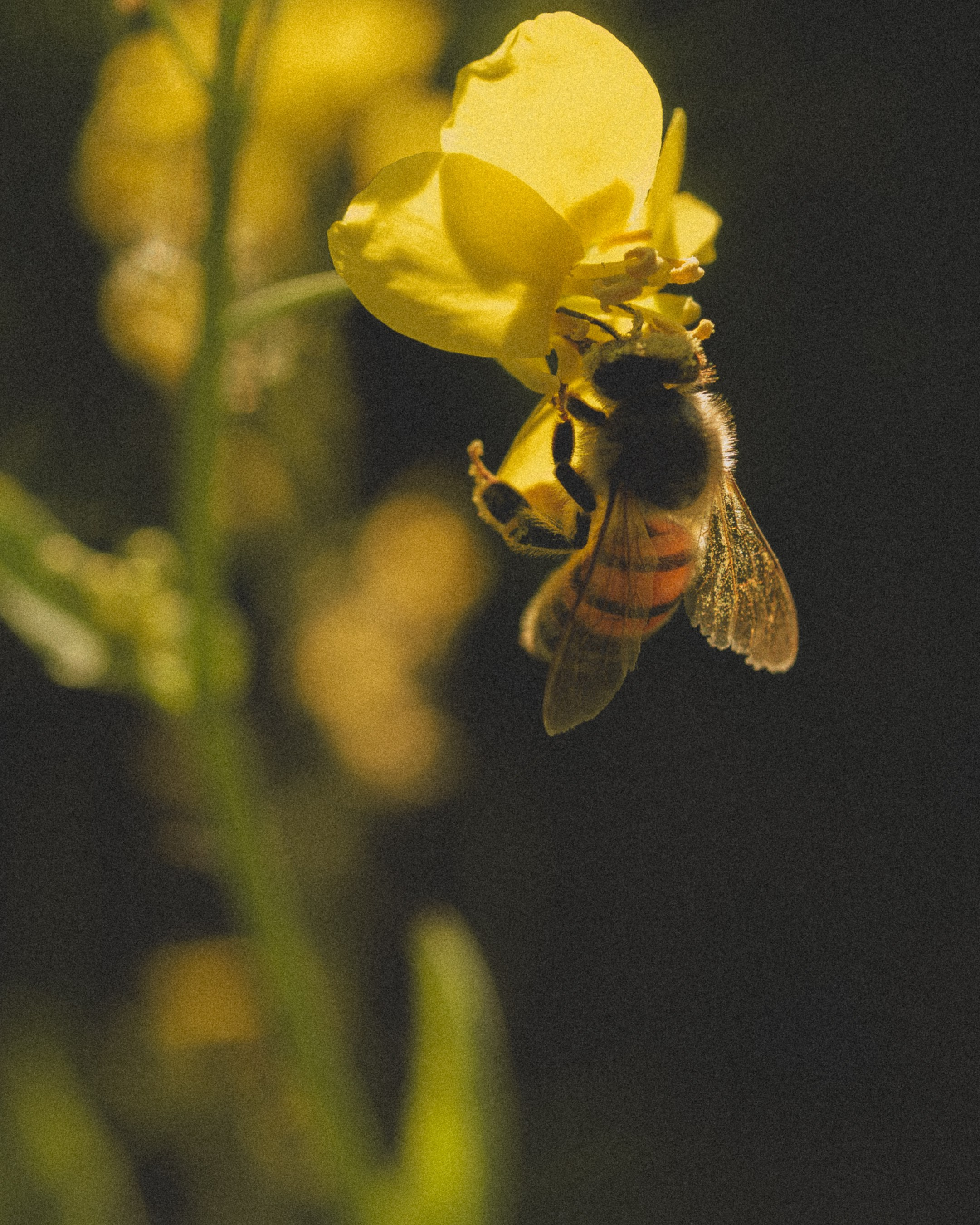 Portrait Bildgalerie. Deine Fotografin aus Baden-Württemberg und der Südpfalz