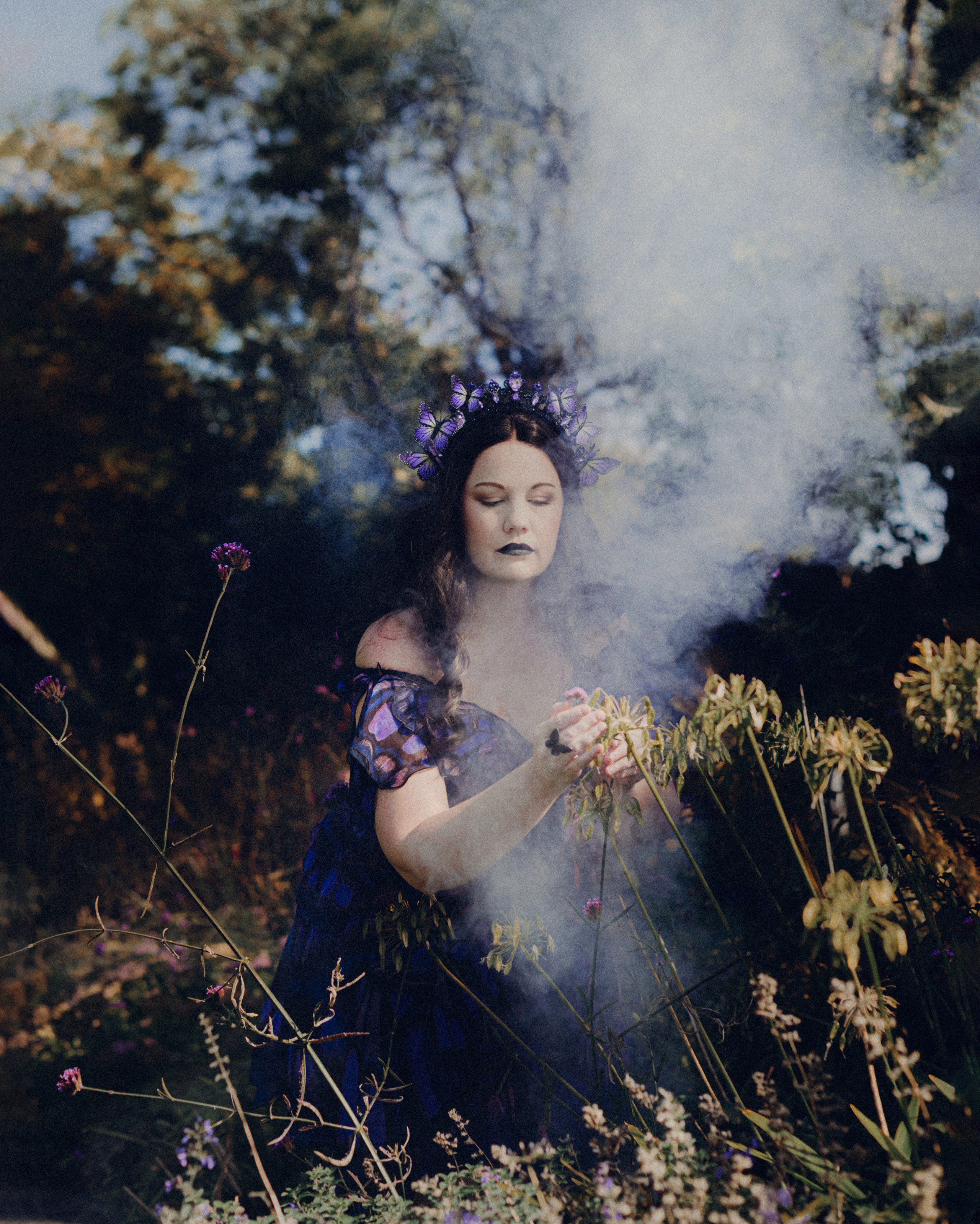 Butterfly purple fairy in a blooming garden. Moth & Moss Photography