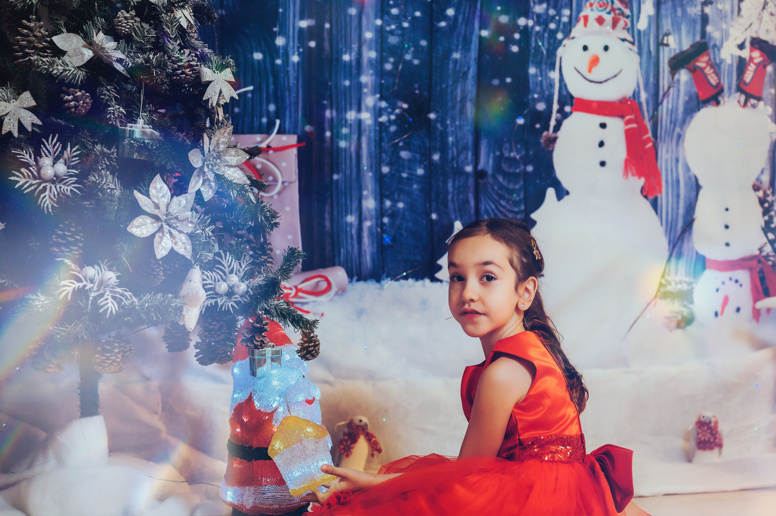 Sedinta Craciun Sofia