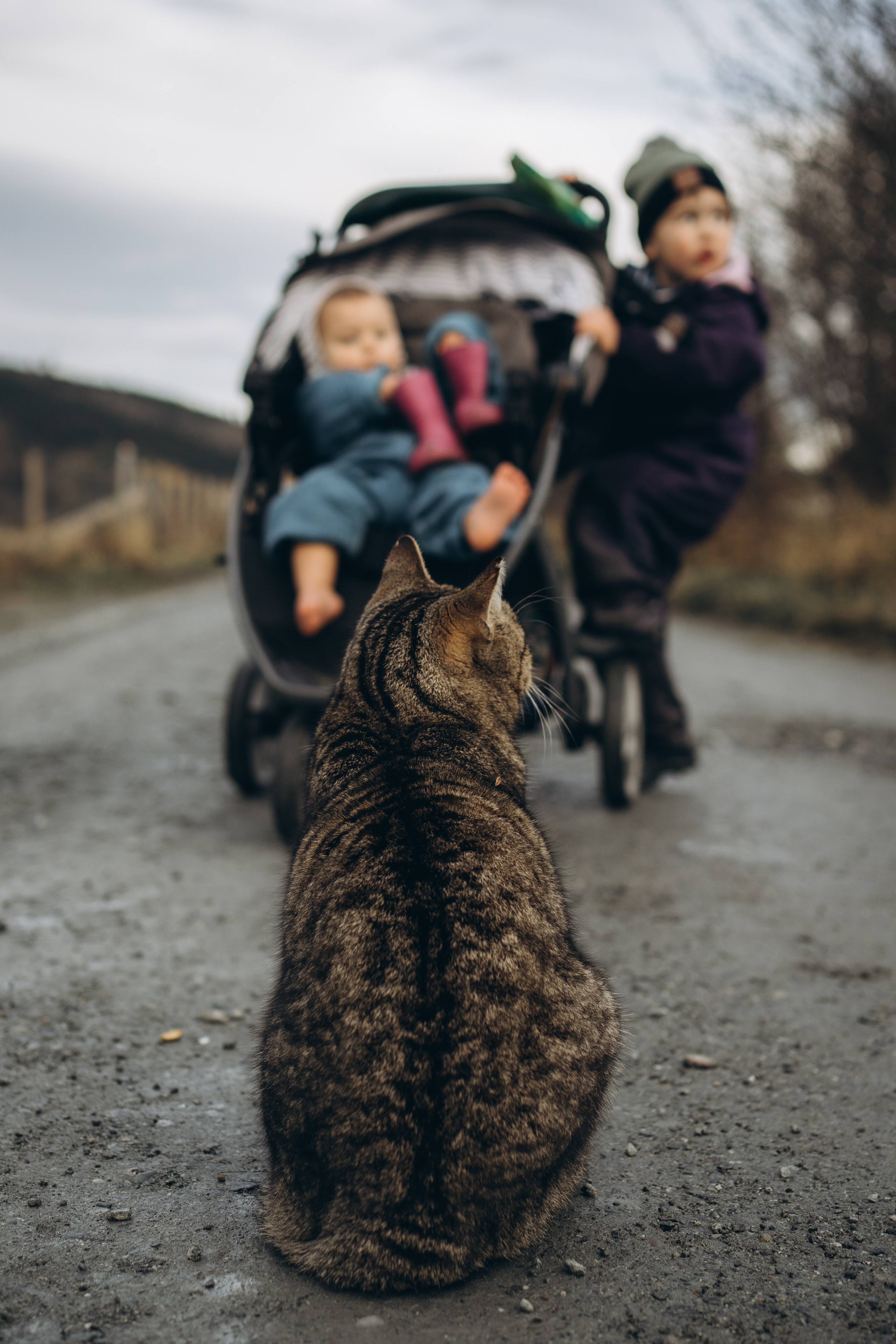 AGA´S AUTUMN. Photographer and videographer in Norway and Slovakia Andrea Zemko