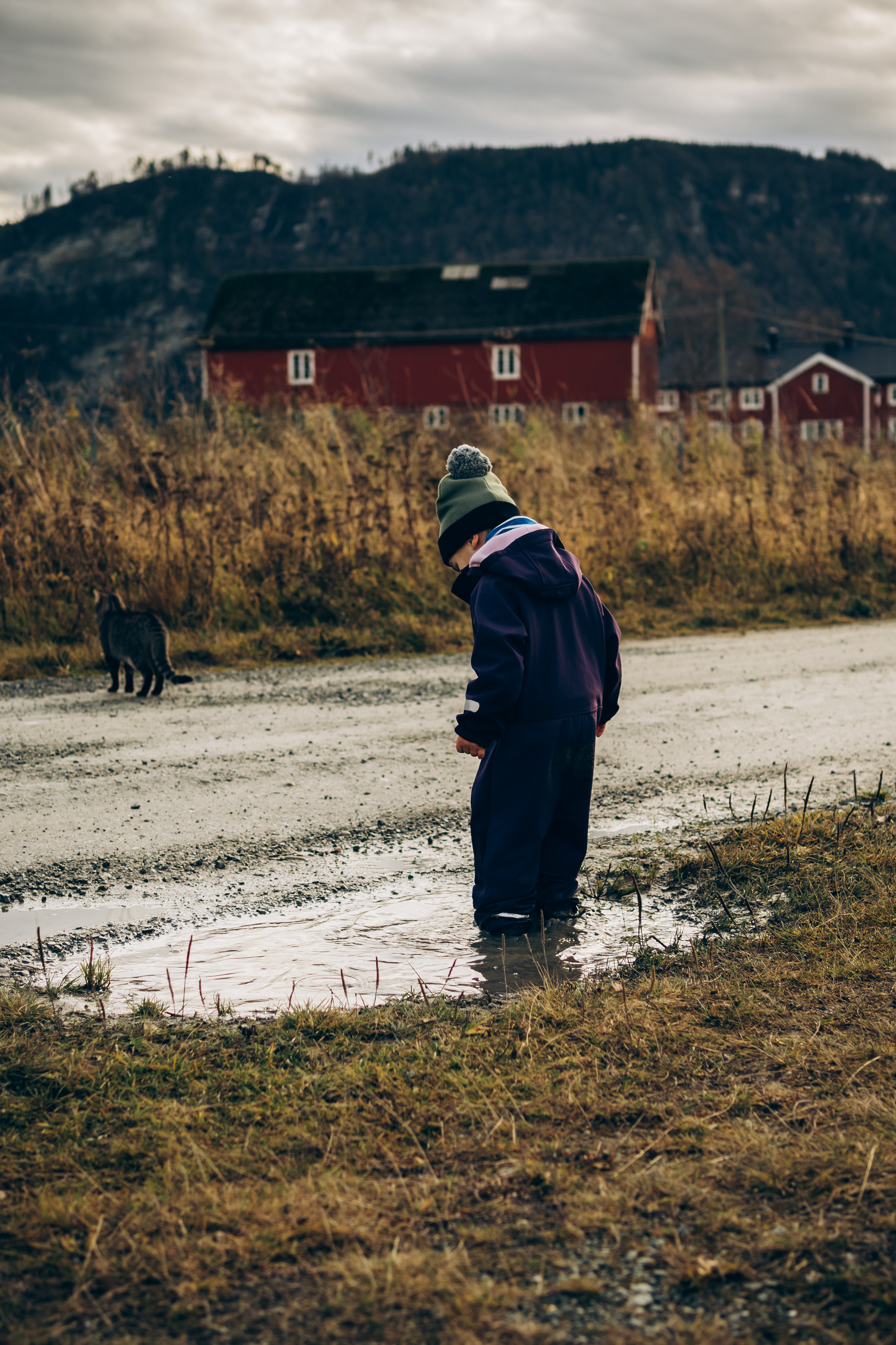 AGA´S AUTUMN. Photographer and videographer in Norway and Slovakia Andrea Zemko