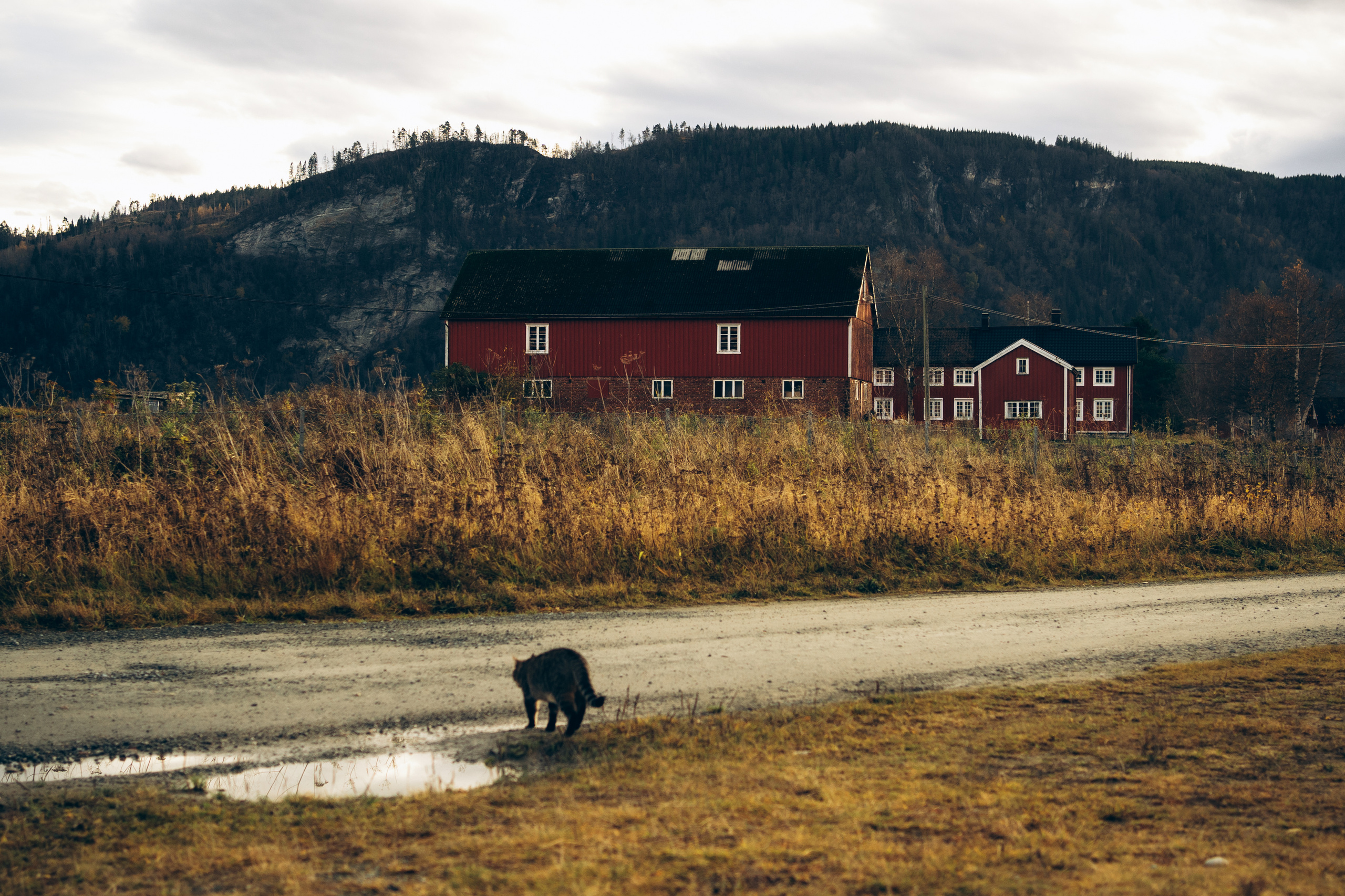 AGA´S AUTUMN. Photographer and videographer in Norway and Slovakia Andrea Zemko