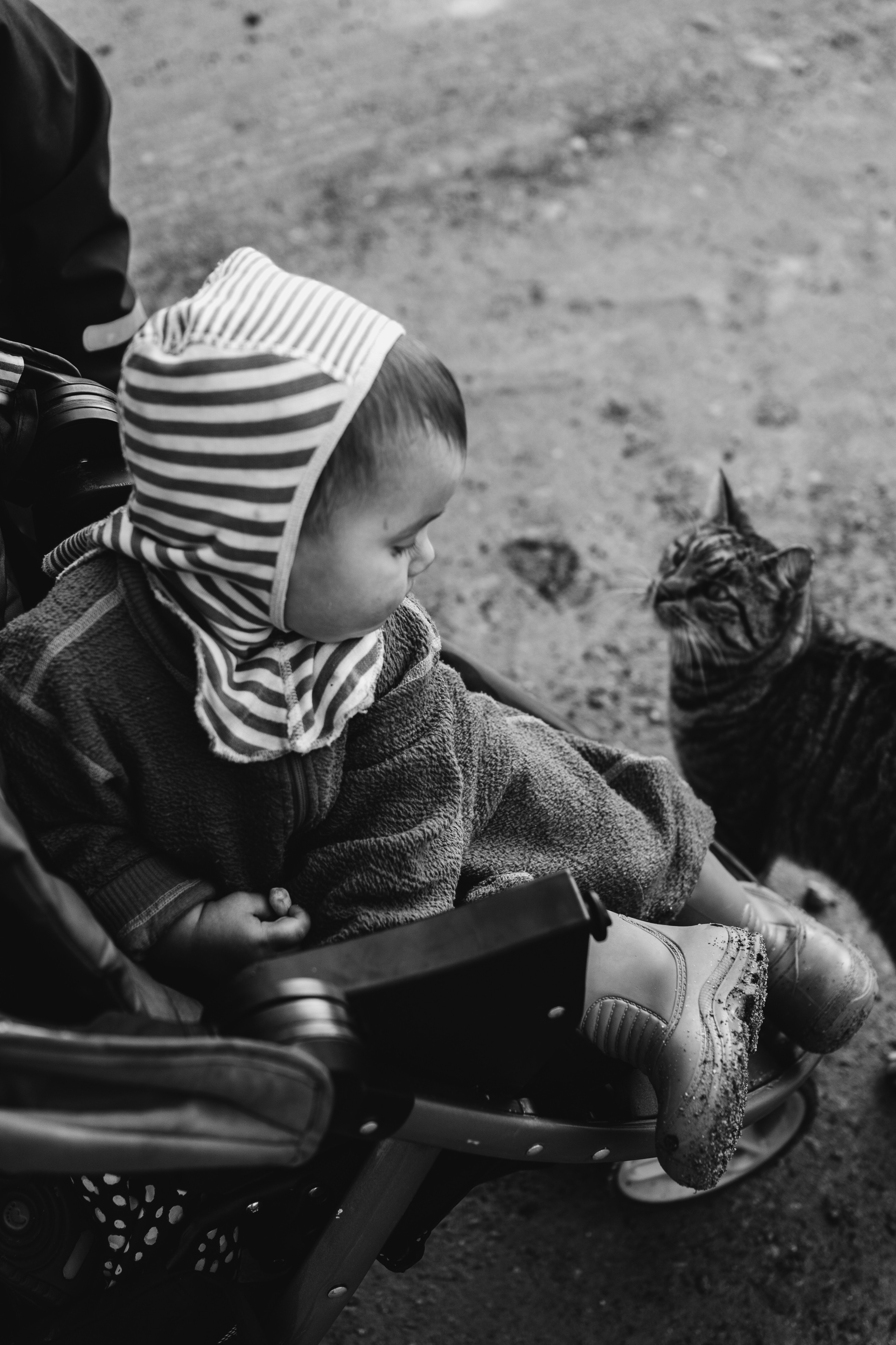 AGA´S AUTUMN. Photographer and videographer in Norway and Slovakia Andrea Zemko