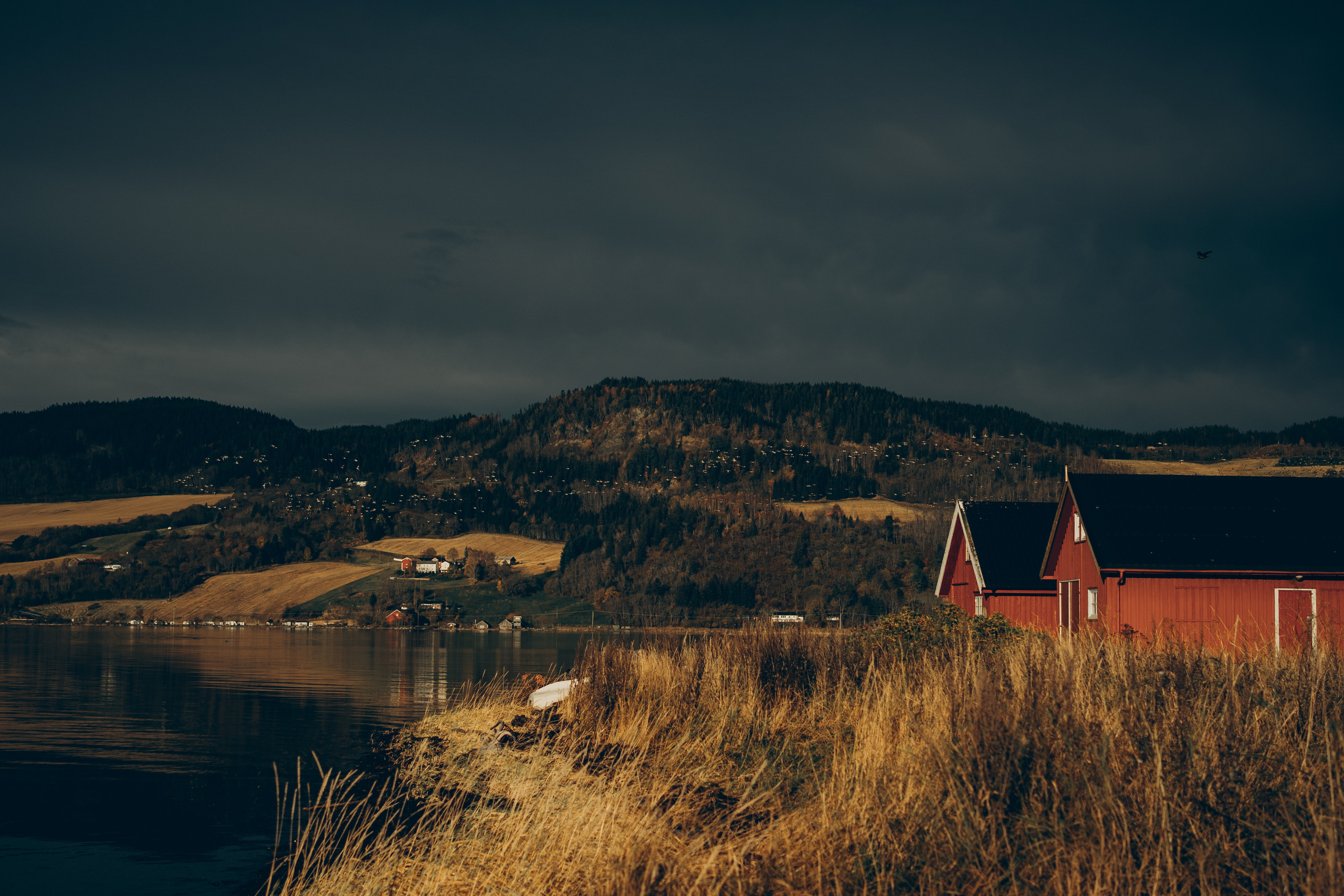 AGA´S AUTUMN. Photographer and videographer in Norway and Slovakia Andrea Zemko