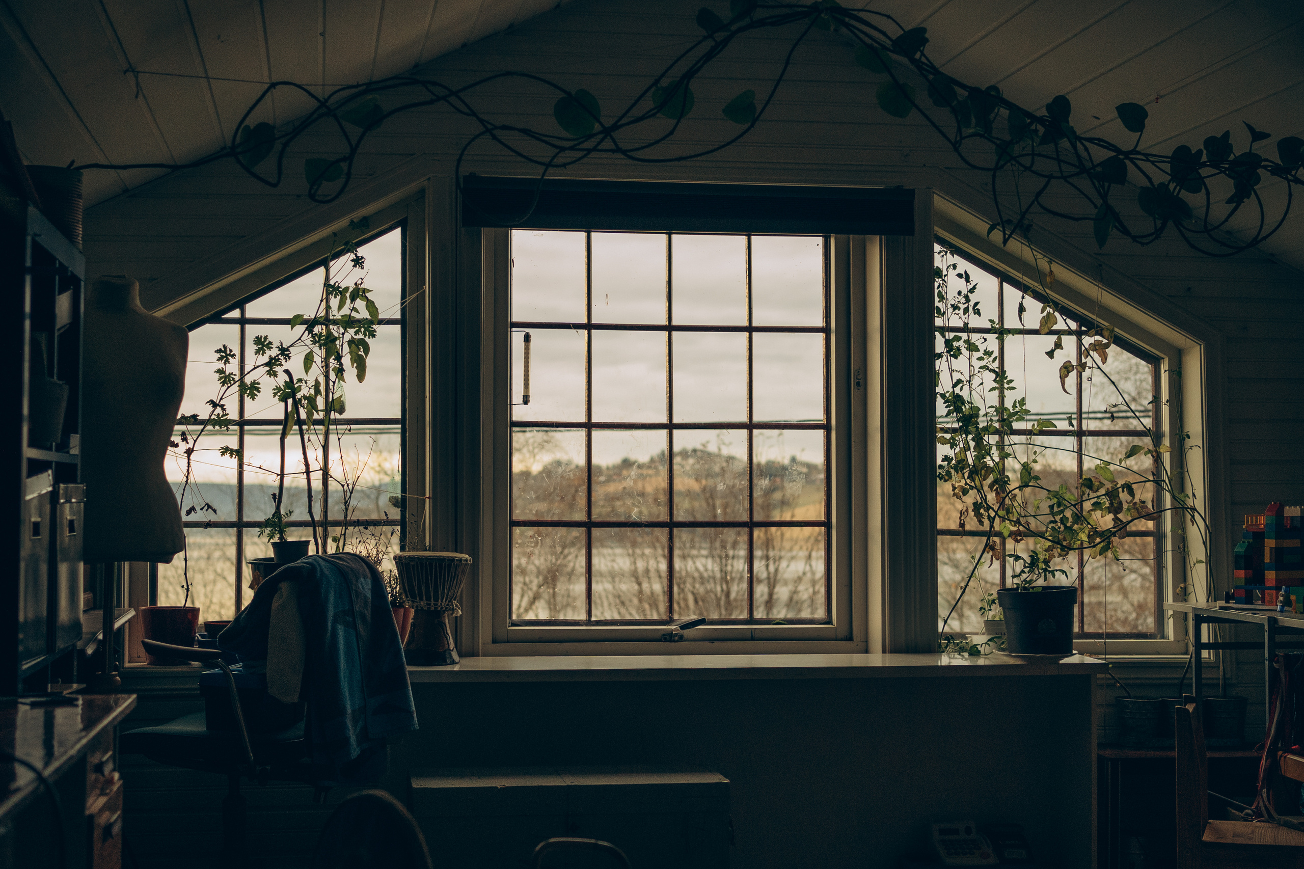 AGA´S AUTUMN. Photographer and videographer in Norway and Slovakia Andrea Zemko