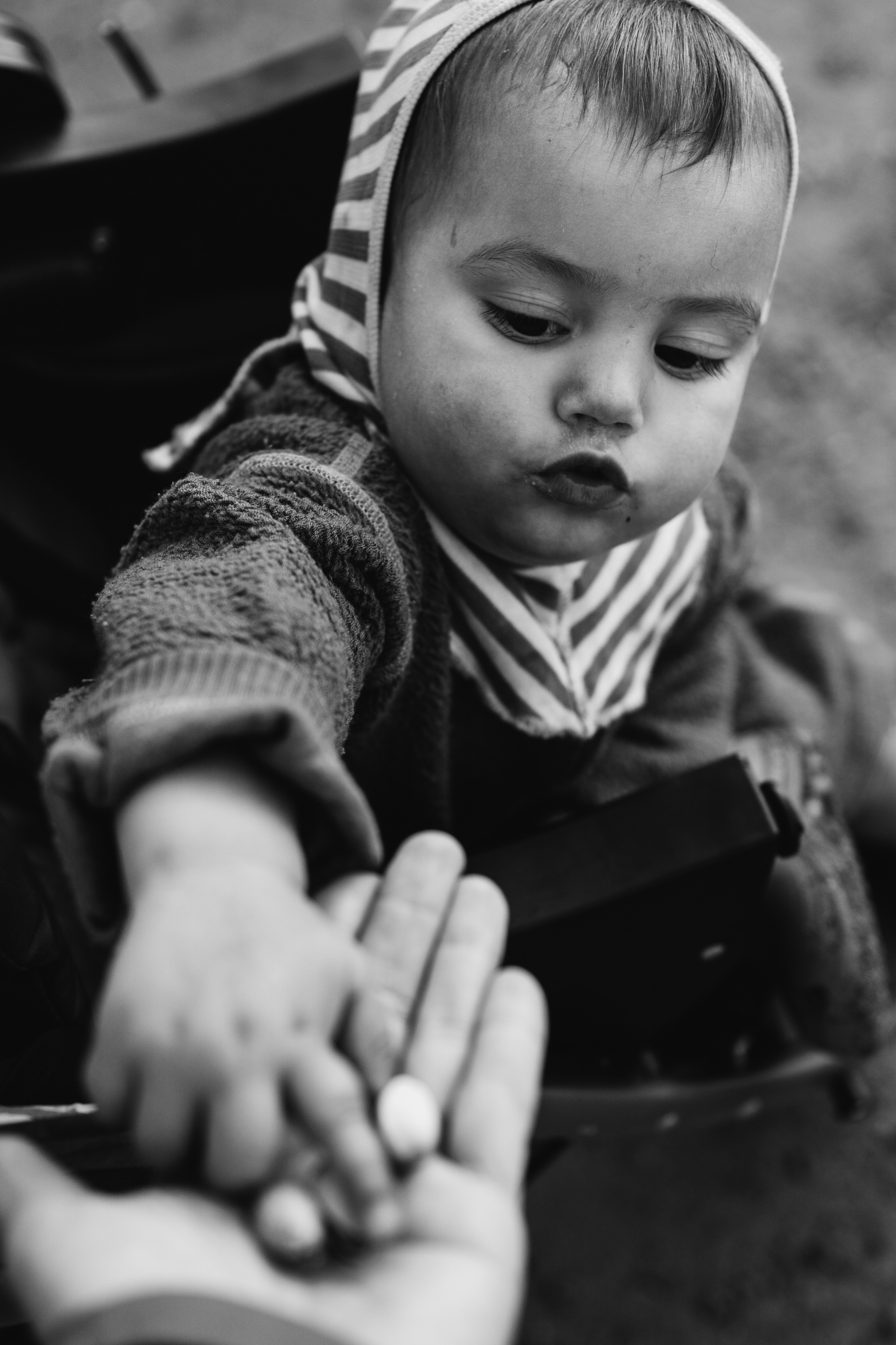 AGA´S AUTUMN. Photographer and videographer in Norway and Slovakia Andrea Zemko