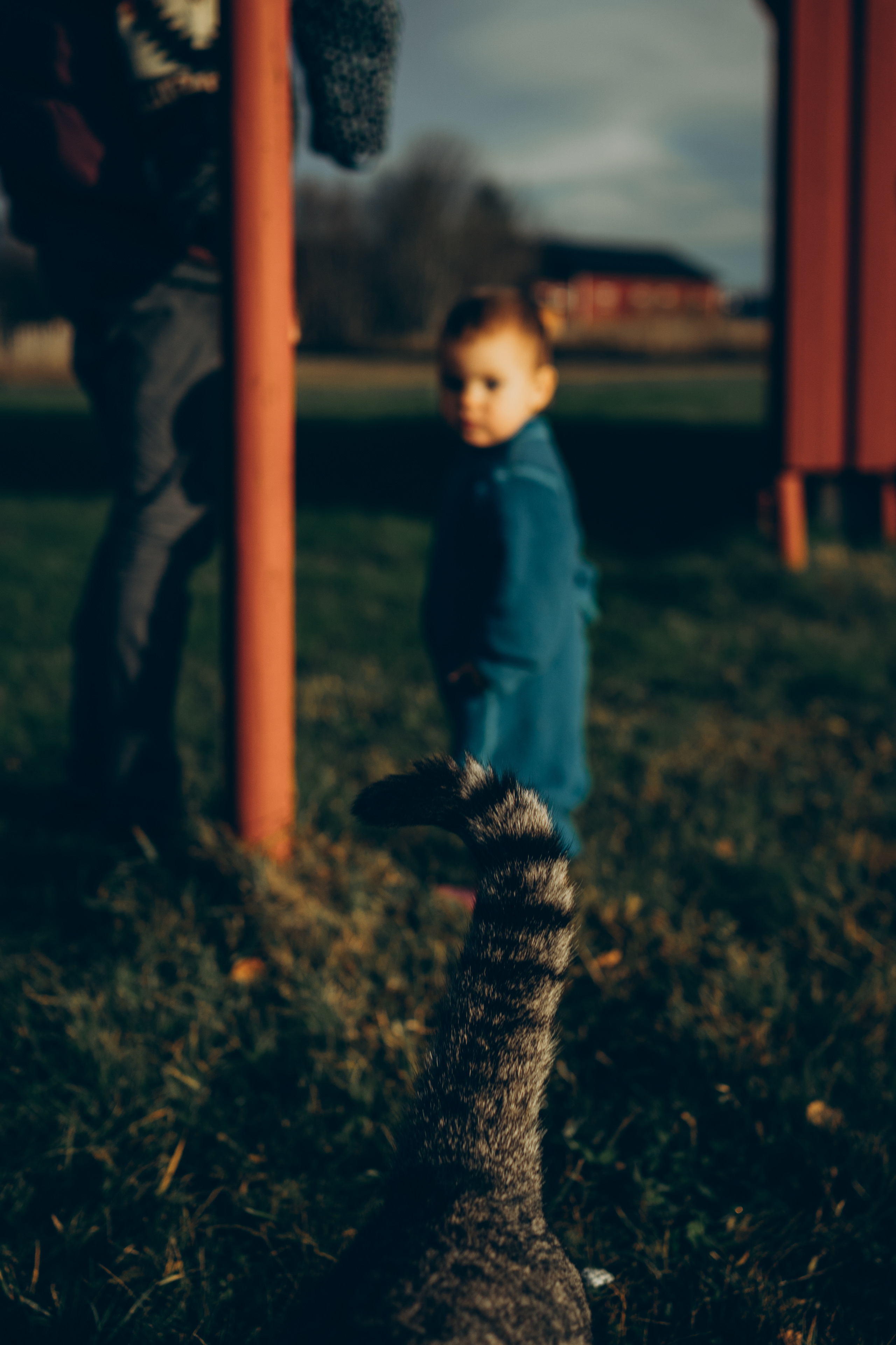 AGA´S AUTUMN. Photographer and videographer in Norway and Slovakia Andrea Zemko