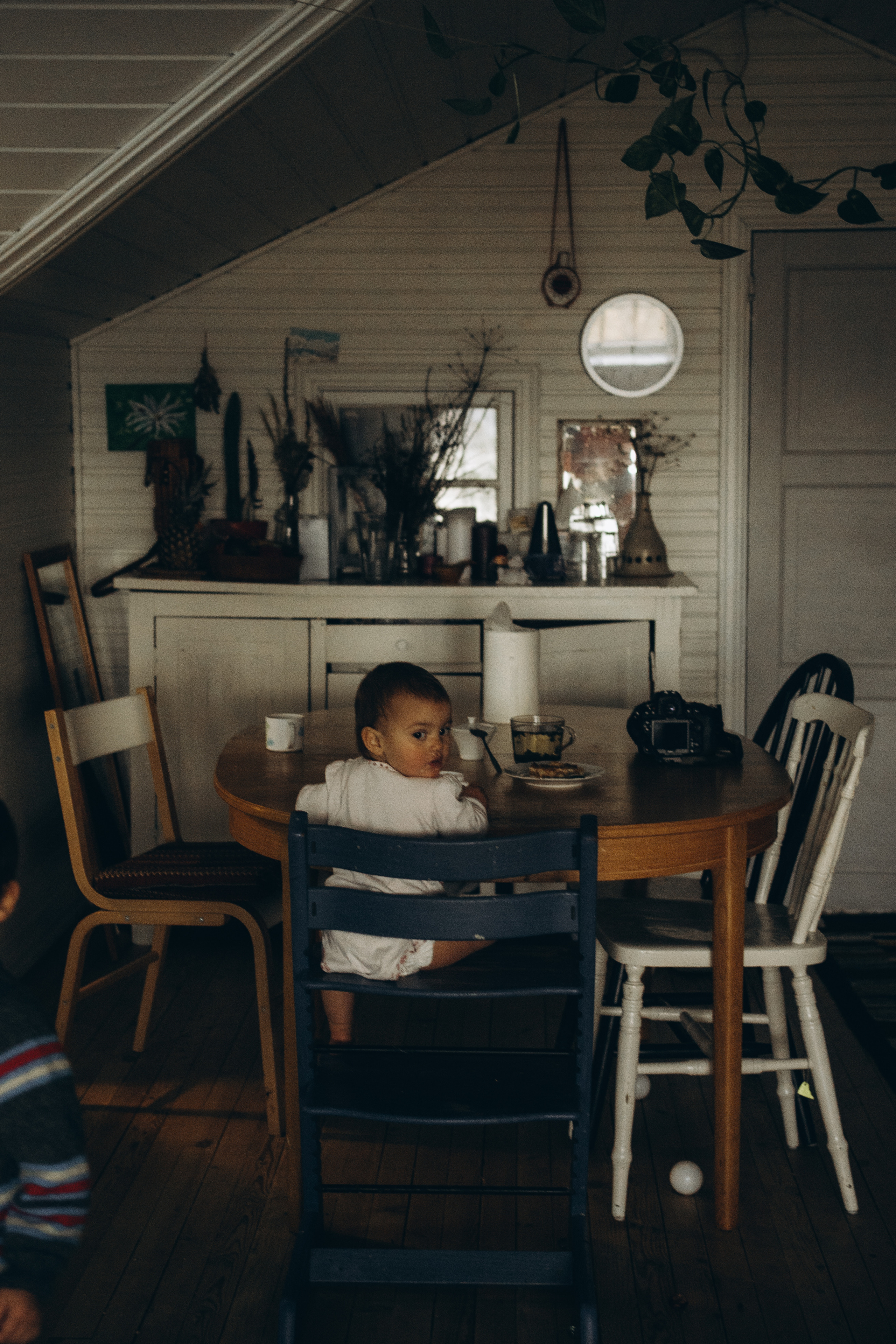 AGA´S AUTUMN. Photographer and videographer in Norway and Slovakia Andrea Zemko