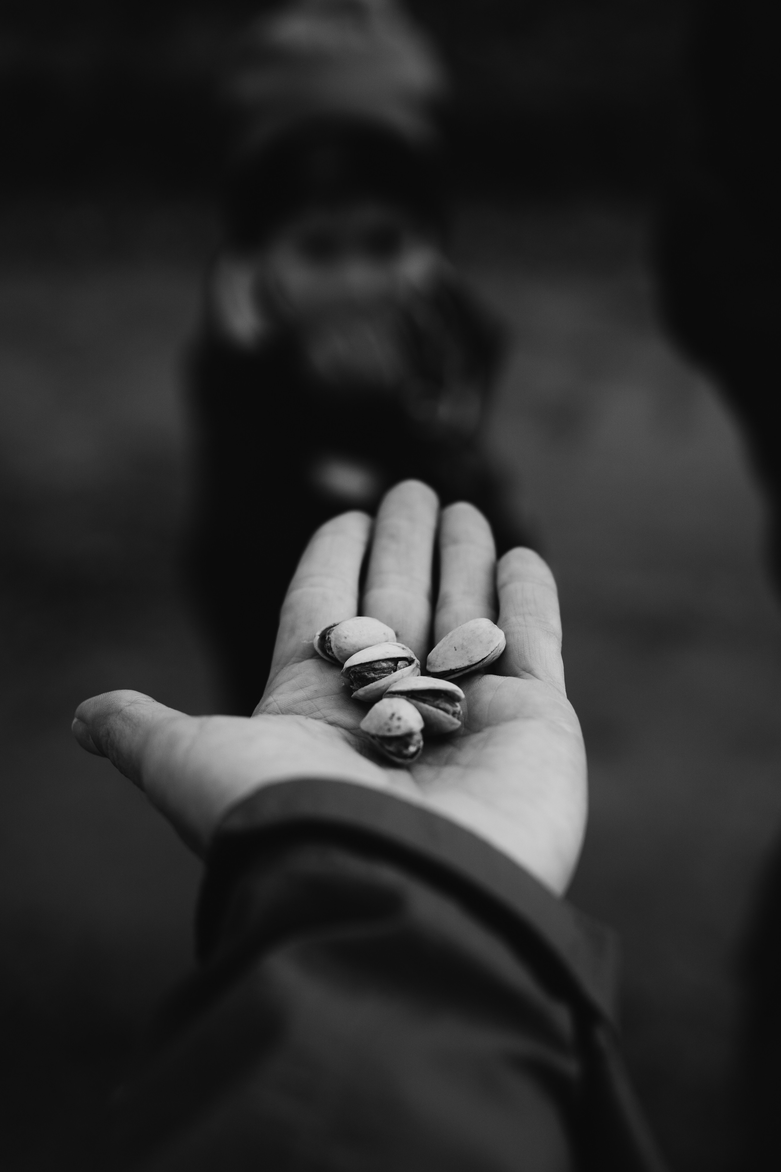 AGA´S AUTUMN. Photographer and videographer in Norway and Slovakia Andrea Zemko