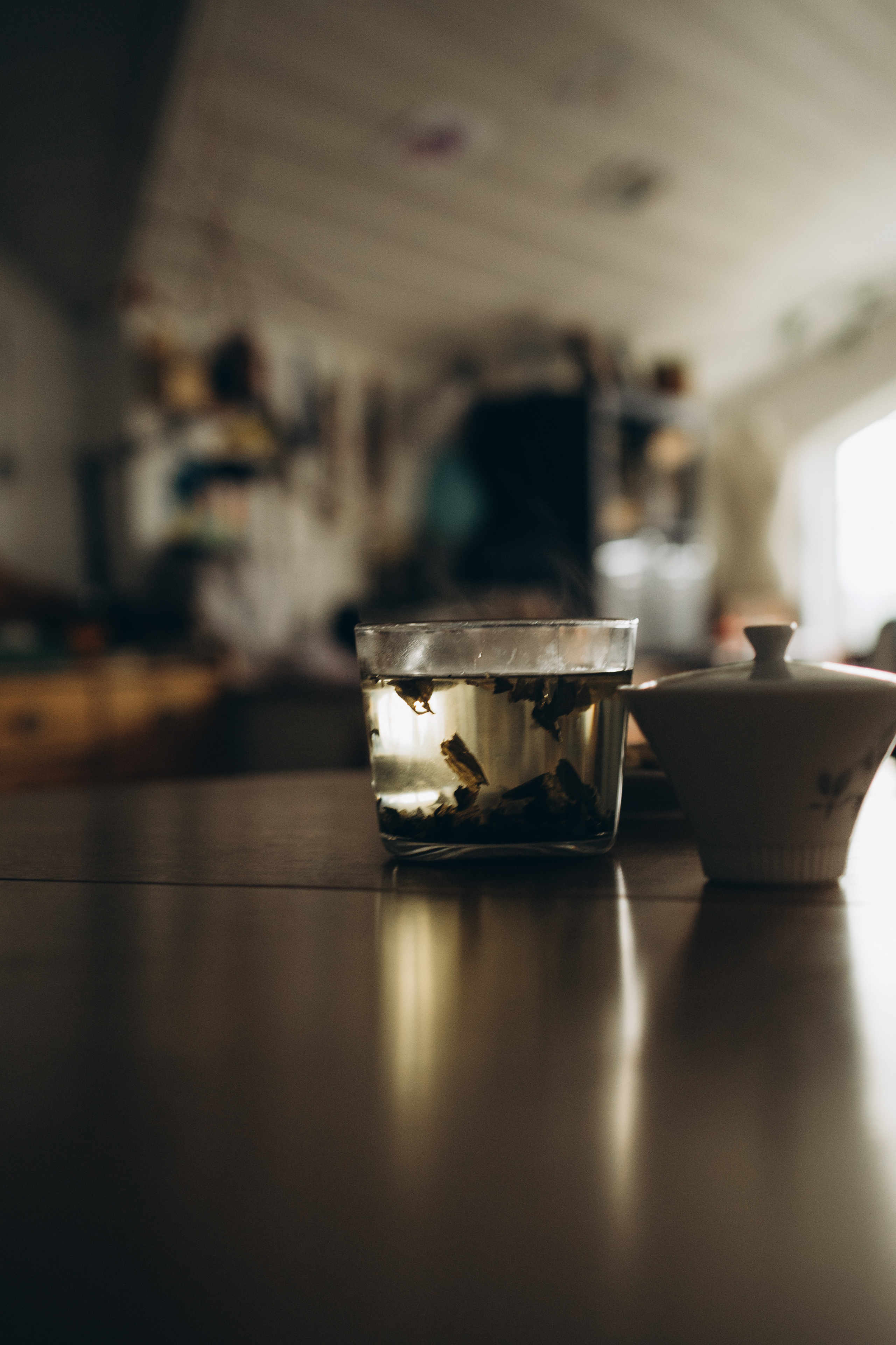 AGA´S AUTUMN. Photographer and videographer in Norway and Slovakia Andrea Zemko