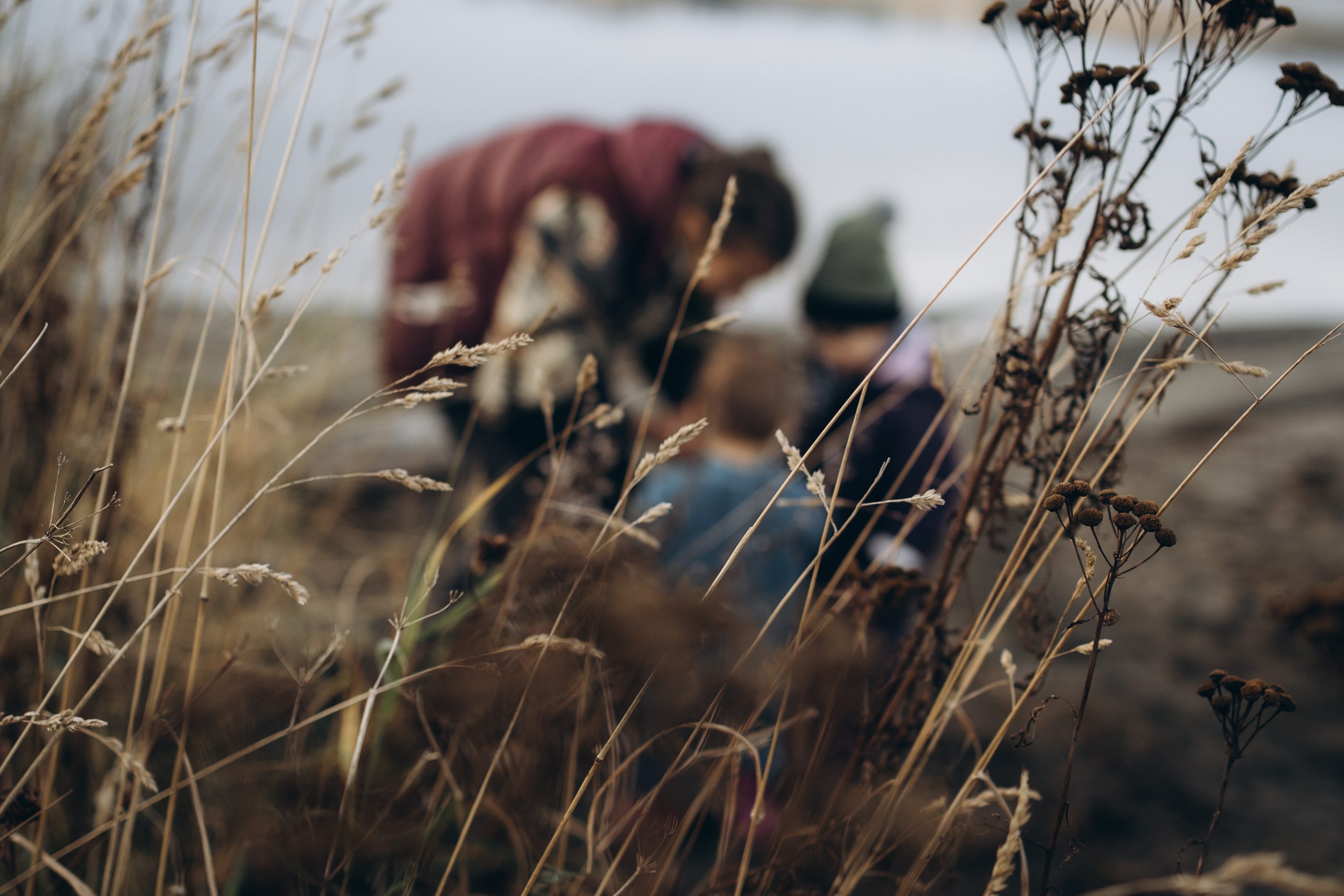 AGA´S AUTUMN. Photographer and videographer in Norway and Slovakia Andrea Zemko