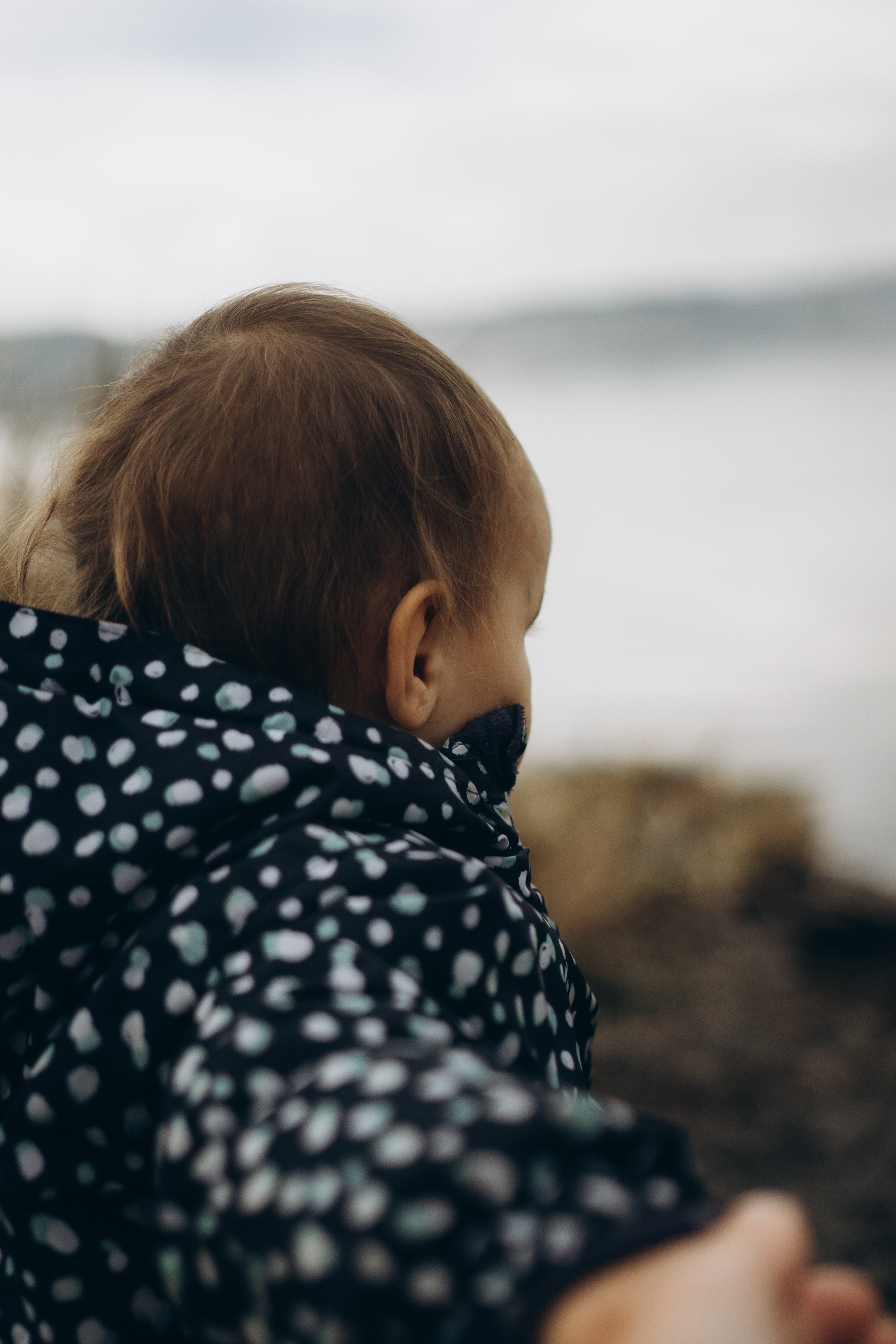 AGA´S AUTUMN. Photographer and videographer in Norway and Slovakia Andrea Zemko