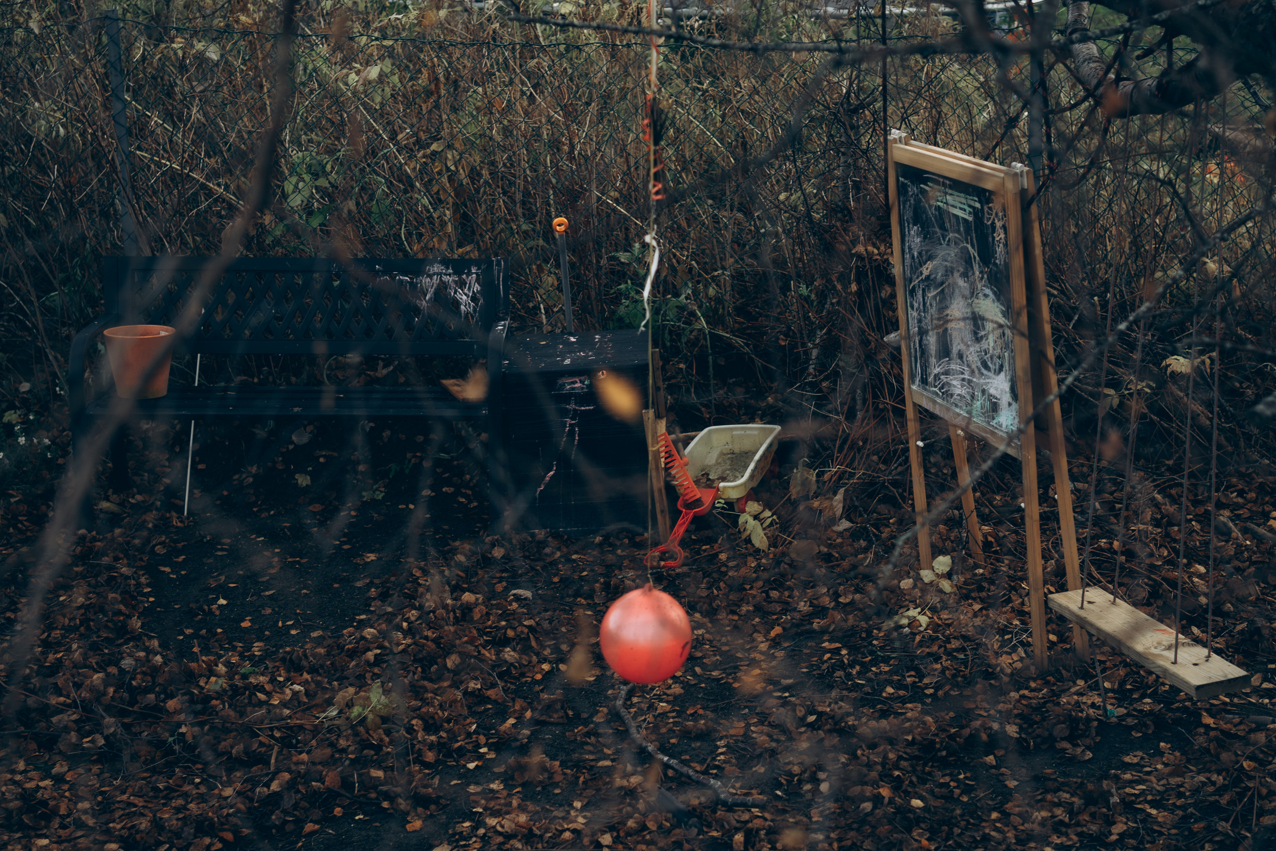 AGA´S AUTUMN. Photographer and videographer in Norway and Slovakia Andrea Zemko