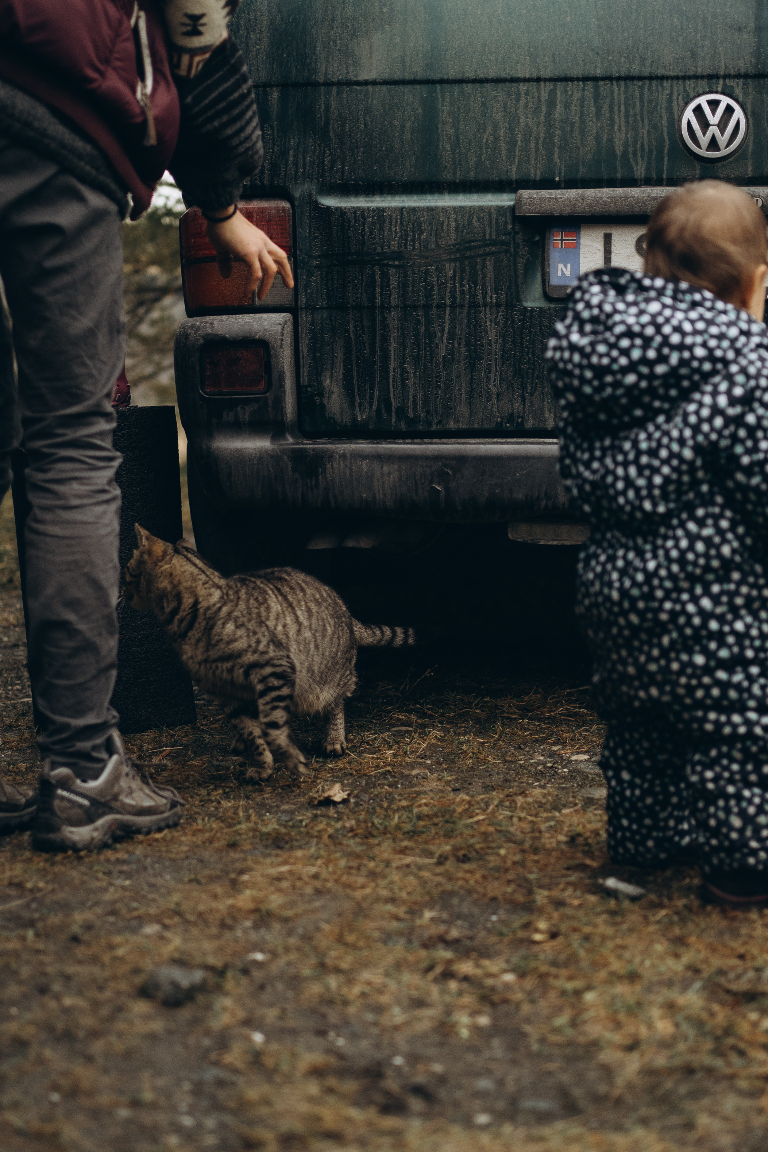 AGA´S AUTUMN. Photographer and videographer in Norway and Slovakia Andrea Zemko