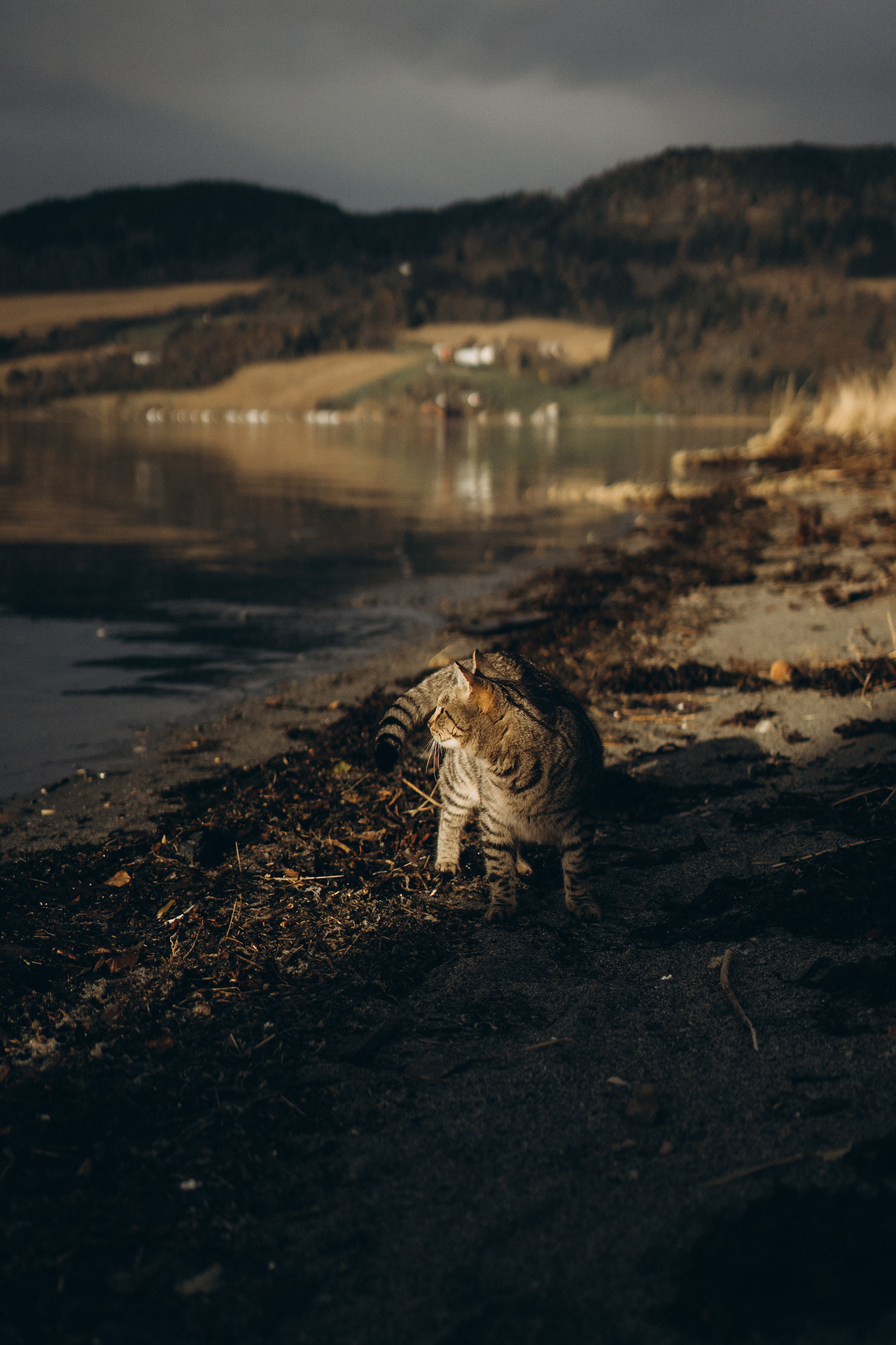 AGA´S AUTUMN. Photographer and videographer in Norway and Slovakia Andrea Zemko