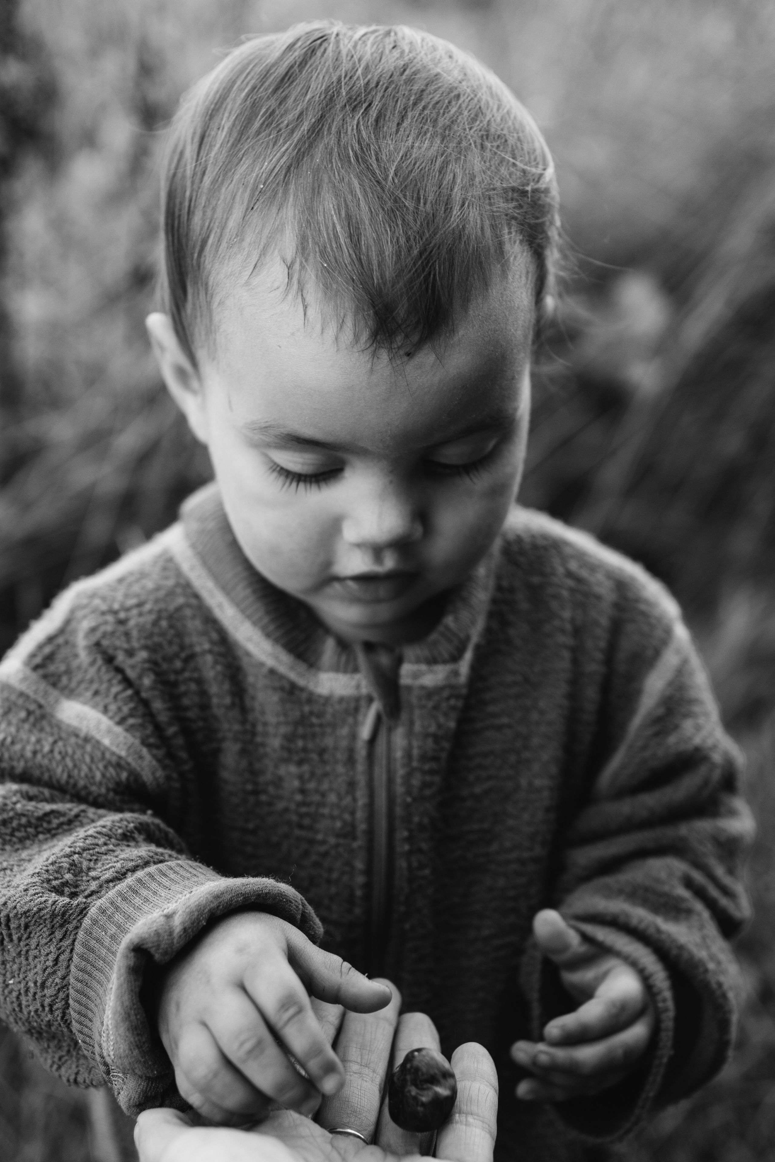 AGA´S AUTUMN. Photographer and videographer in Norway and Slovakia Andrea Zemko