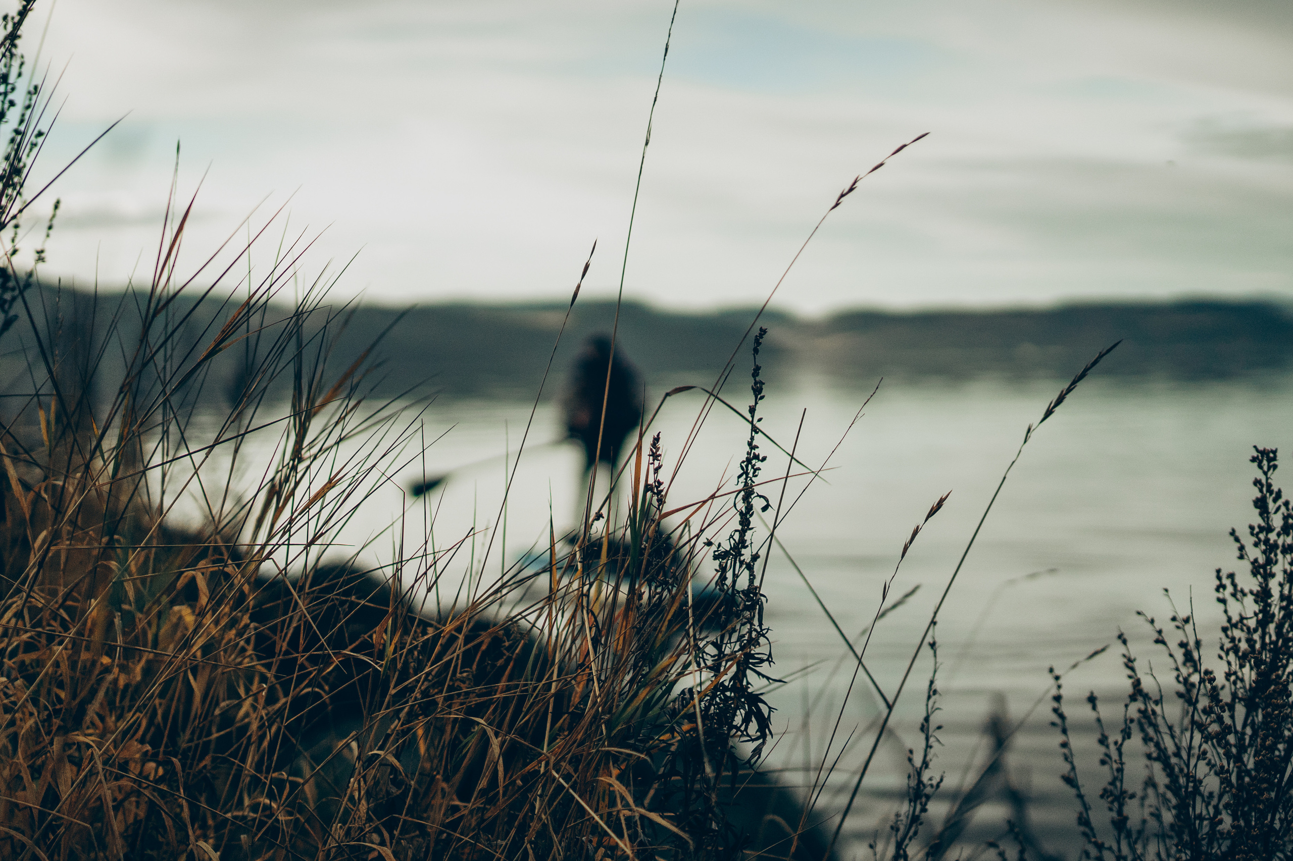 AGA´S AUTUMN. Photographer and videographer in Norway and Slovakia Andrea Zemko