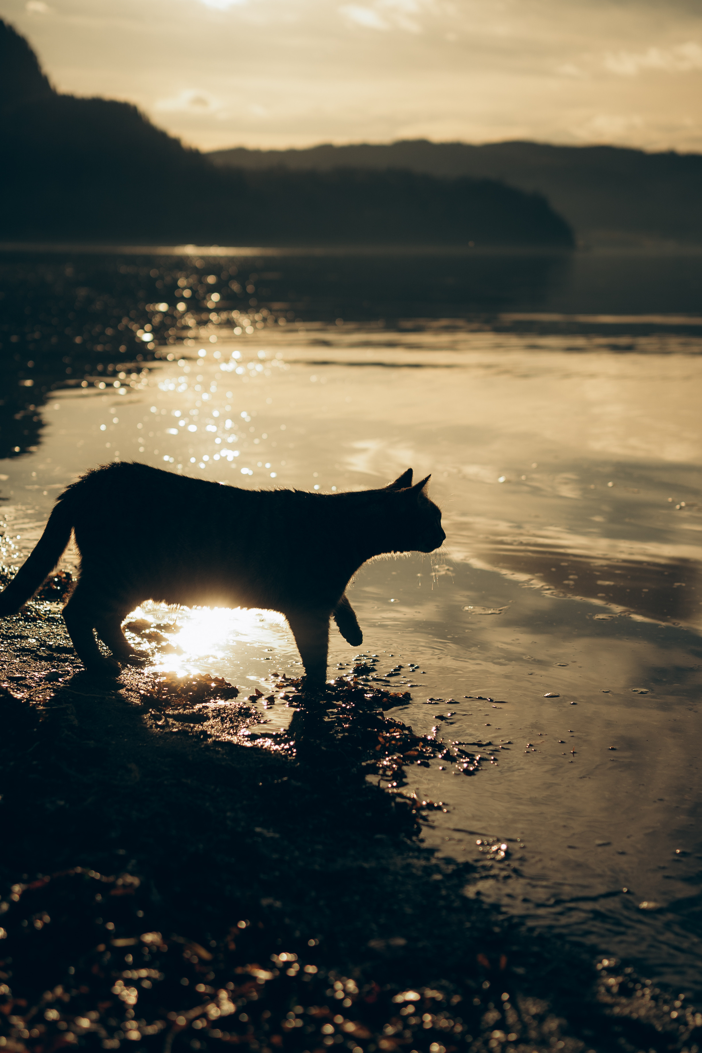 AGA´S AUTUMN. Photographer and videographer in Norway and Slovakia Andrea Zemko