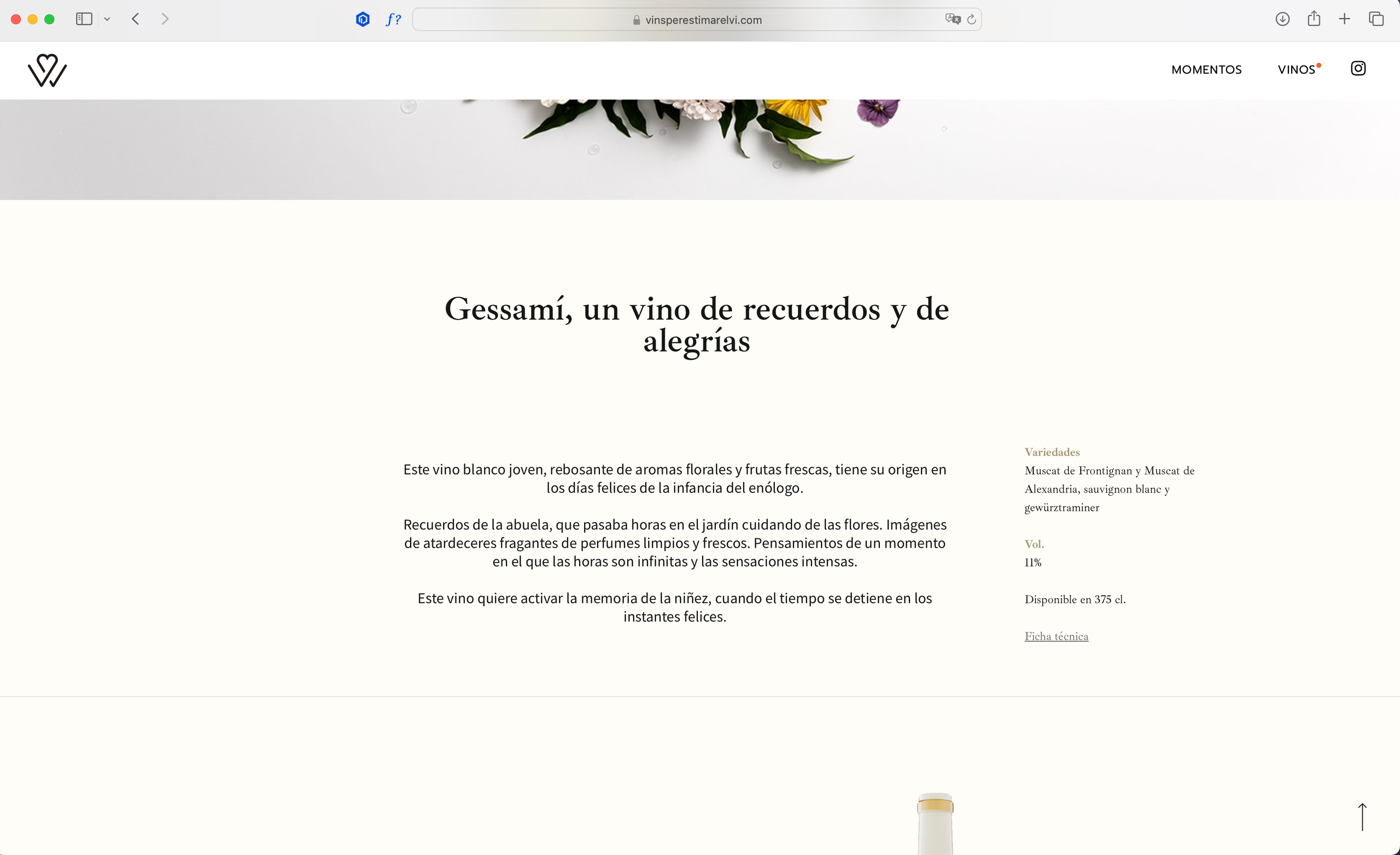 Brand Photography & Visual Content Creation — Marina Kálcheva, Barcelona. Marina Kálcheva — Photographer, Videographer & Visual Artist in Barcelona