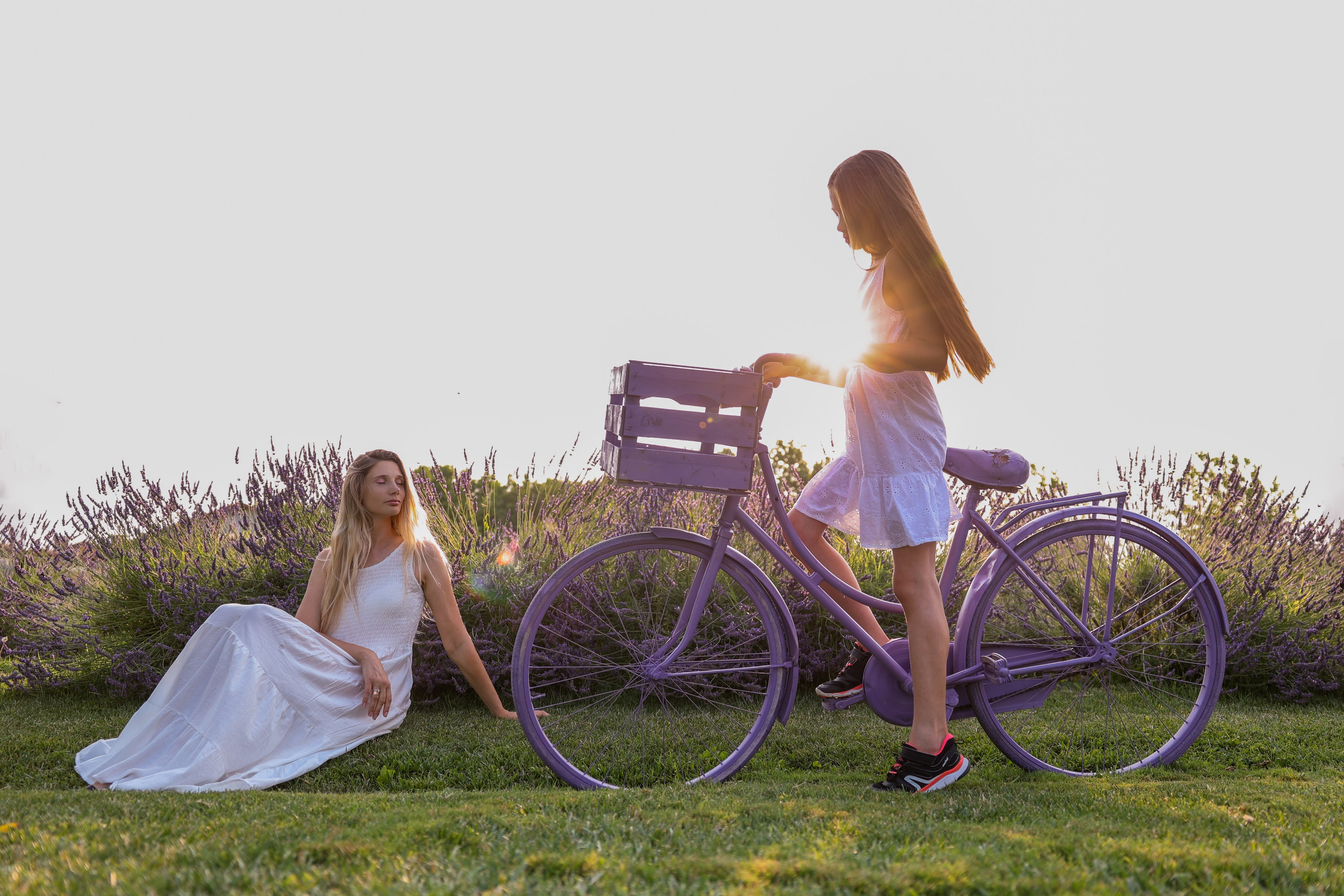 Lavanda. Photographer, Videomaker, Drone, Padova, Venice, Italy, Elena Radchenko