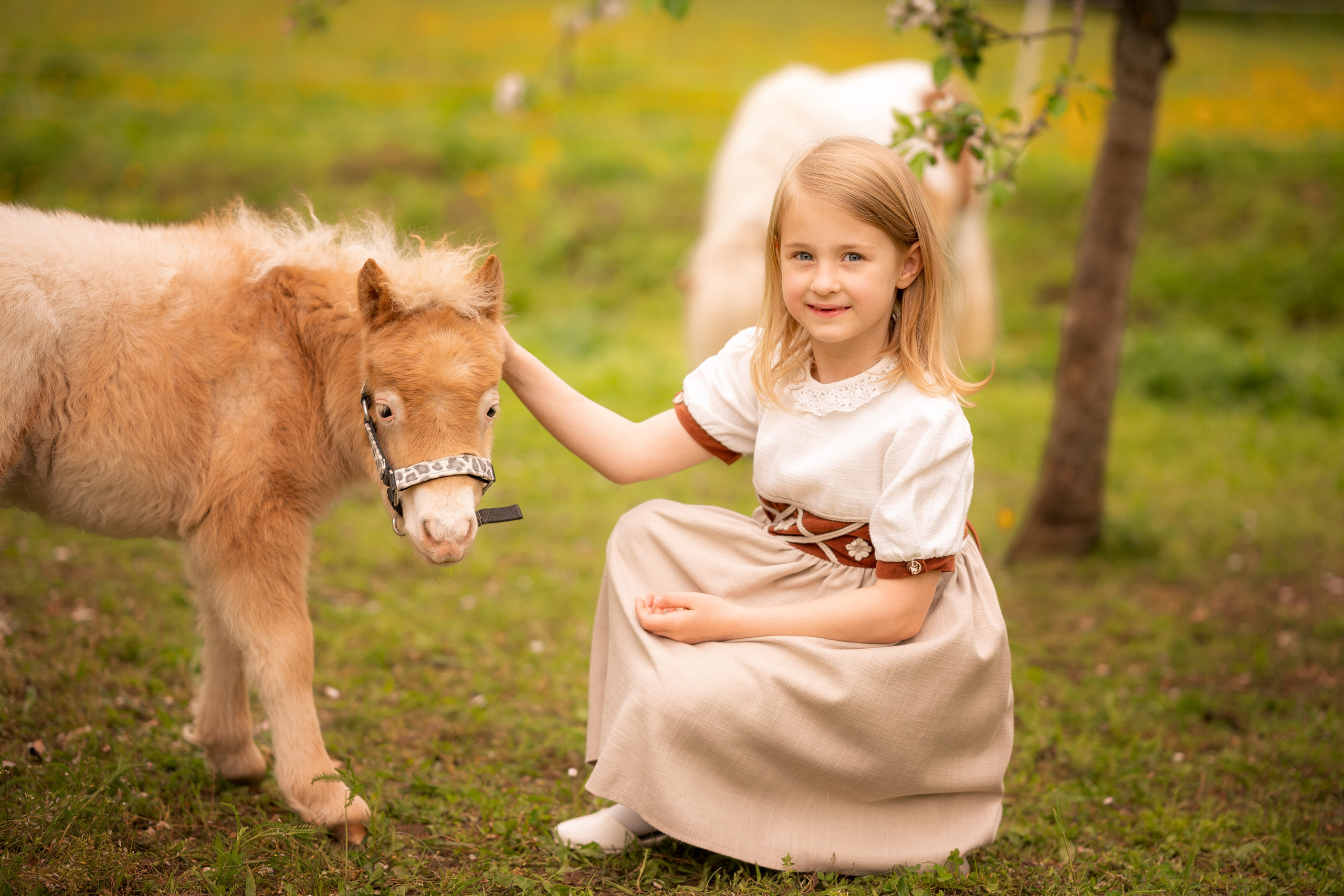 Ponys. Kinder- & Familienfotograf in Gaildorf und Umgebung Valentina Vogel