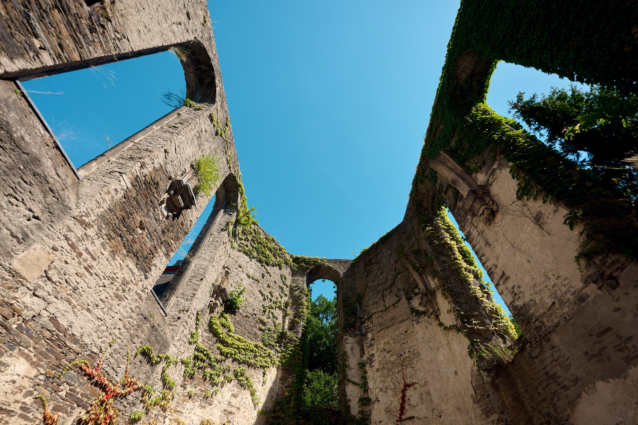 Professionelle Hochzeits- und Portraitfotos in Süddeutschland