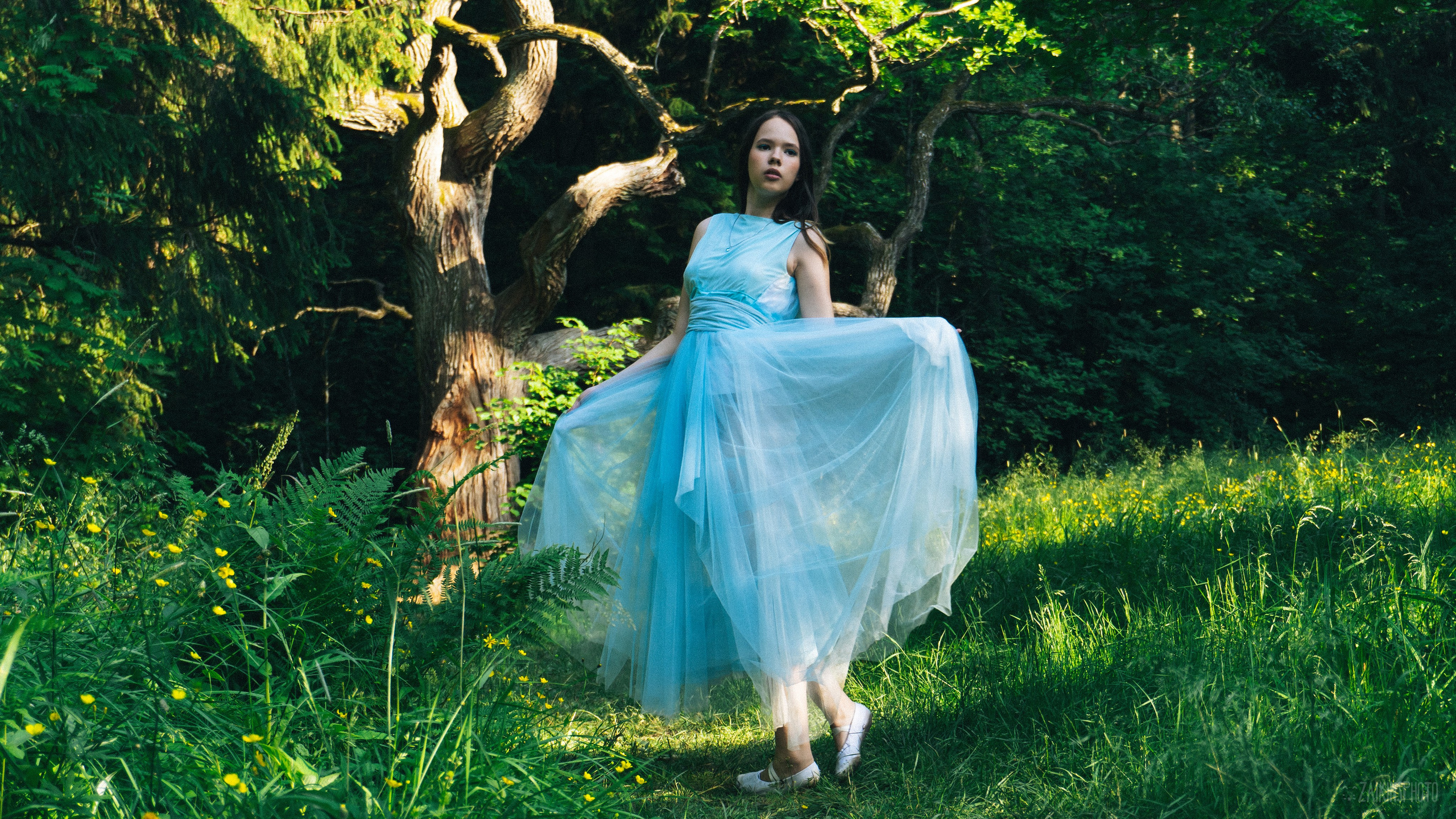 Alice In Wonderland. Main