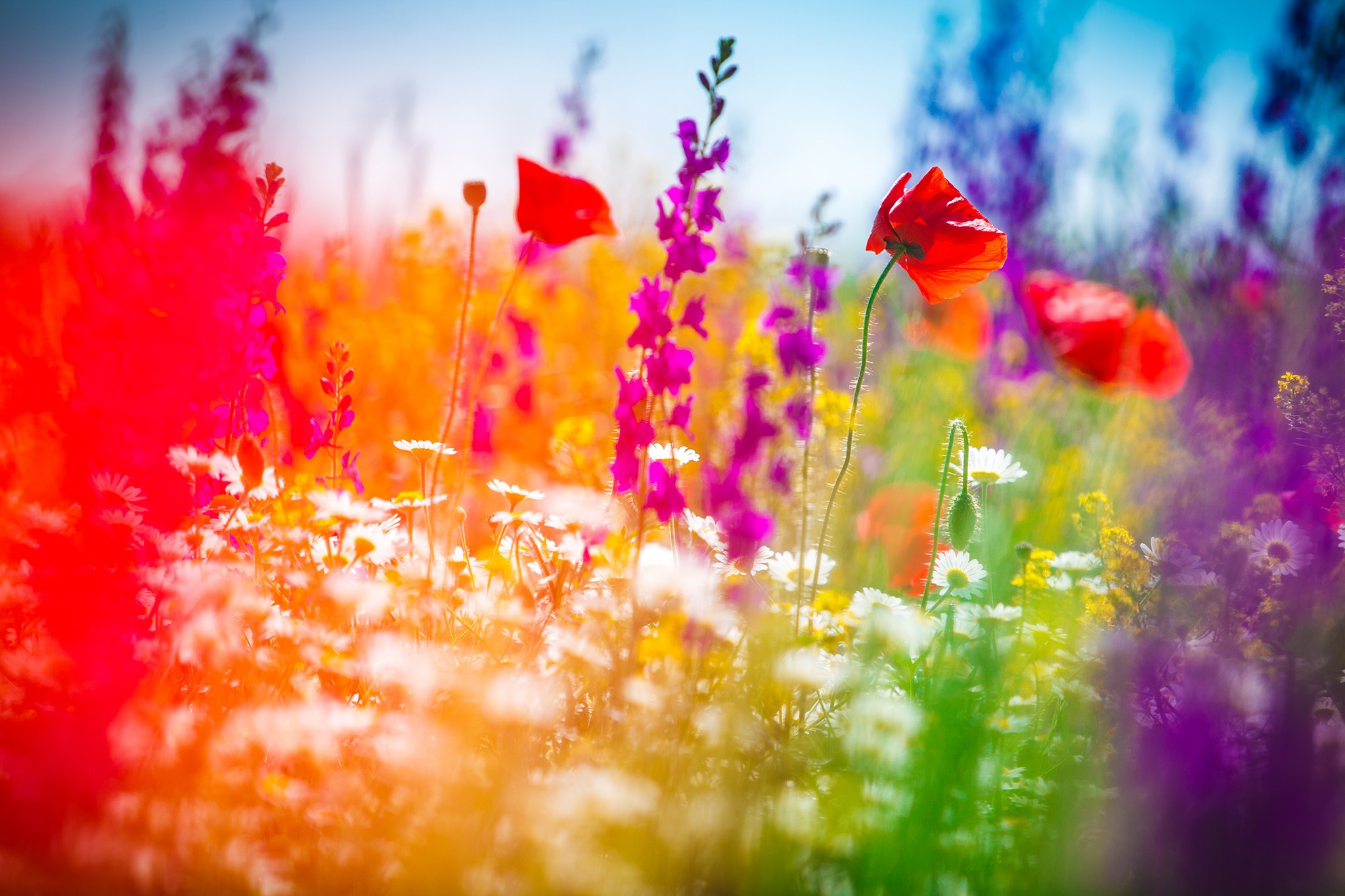 Landscape. Photography by Mircea Maieru