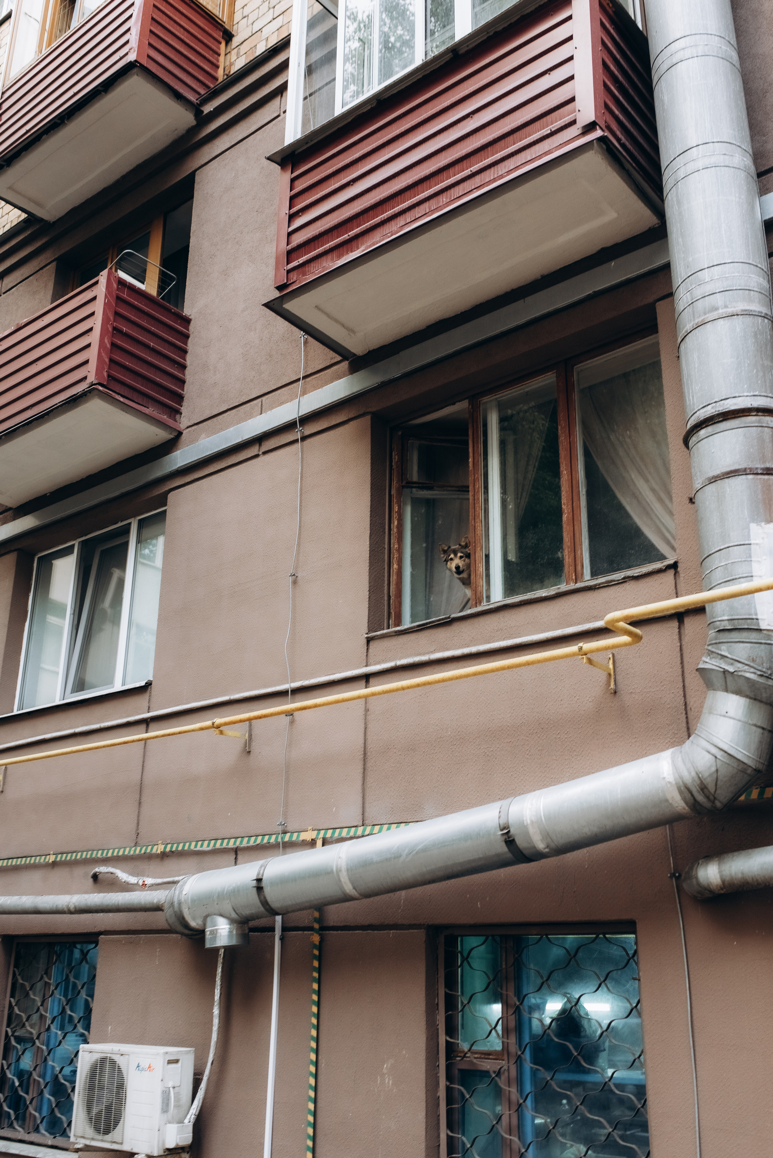 Misha & Anya wedding. Фотографы Минск и мир