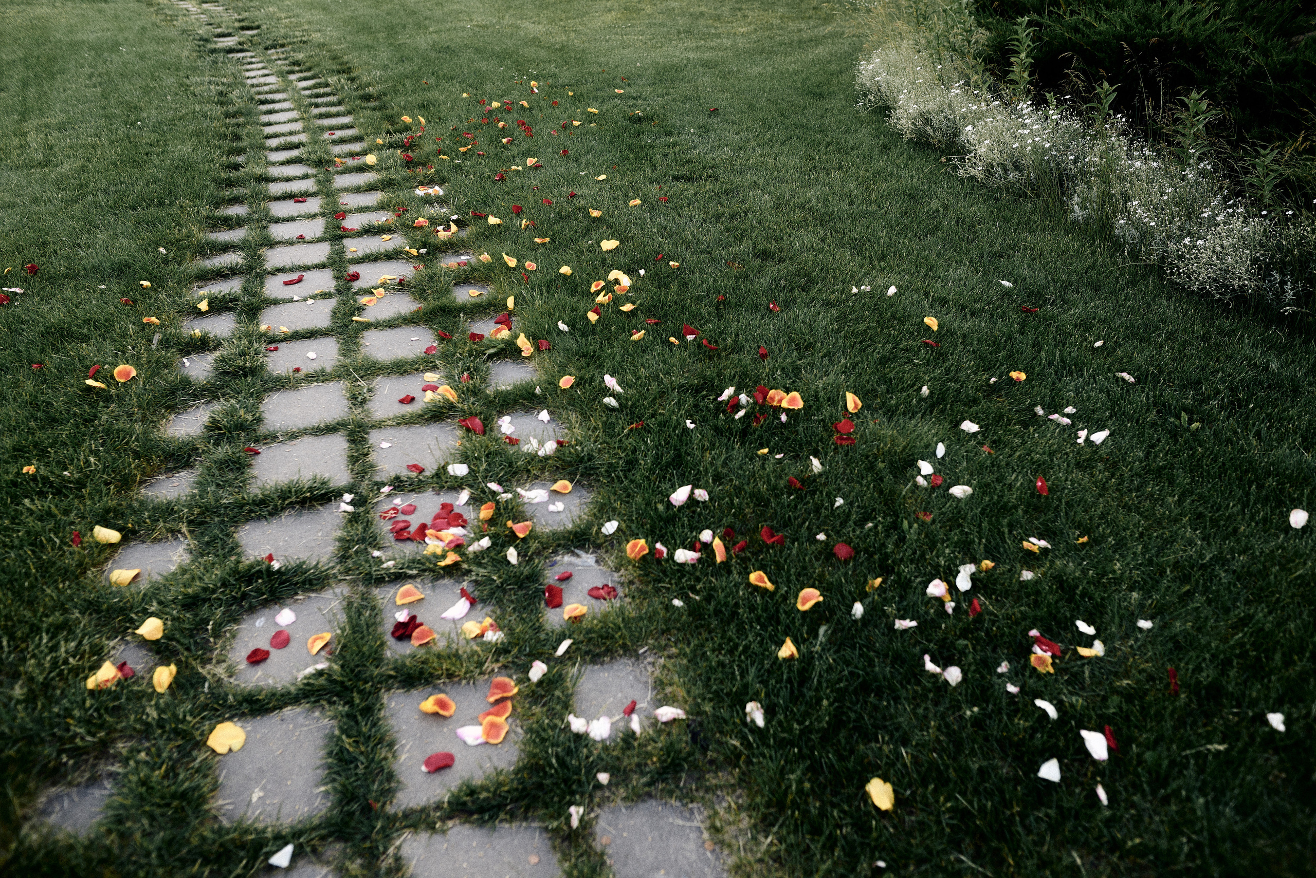 Vadim & Lera wedding. Фотографы Минск и мир