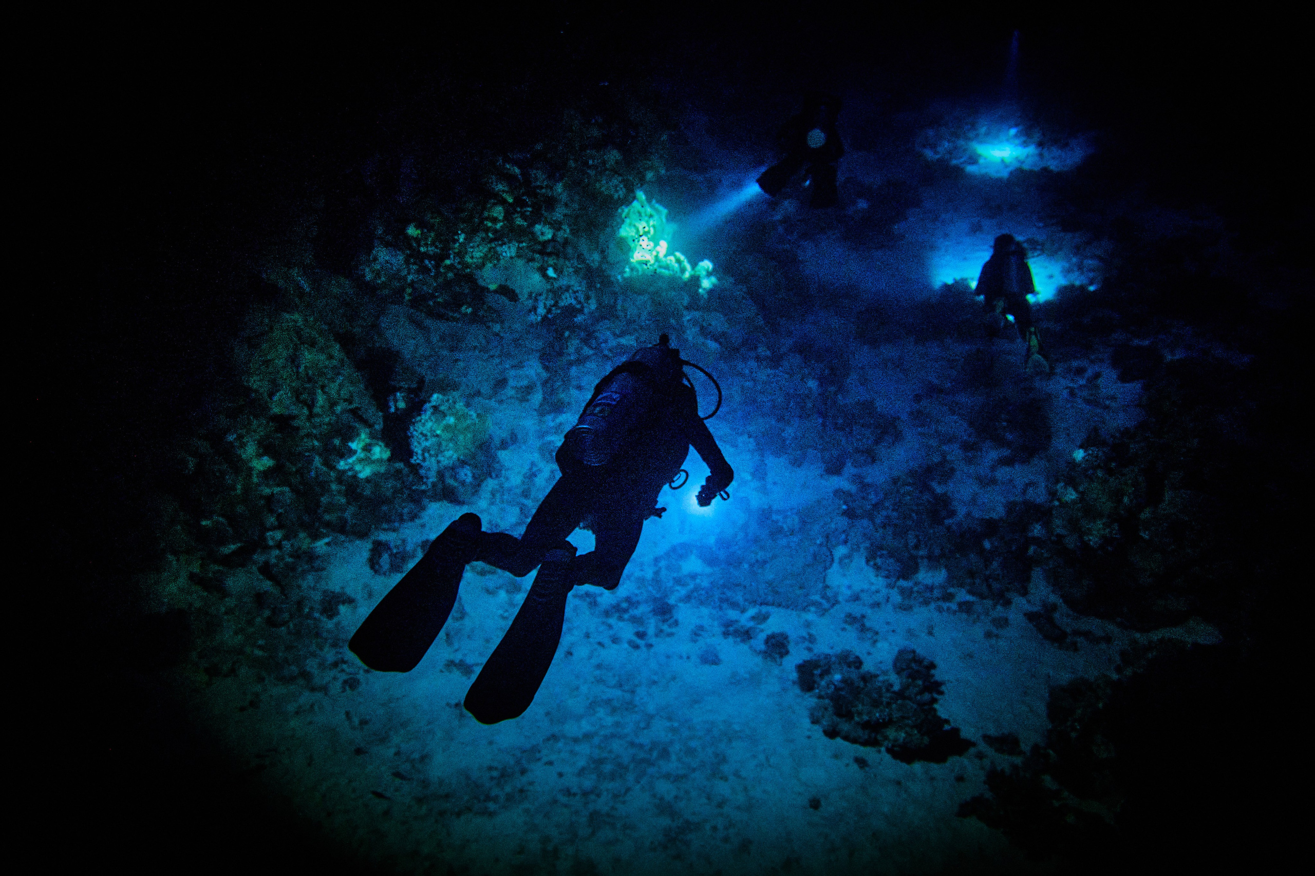 2023-11 - Diving Safari Deep South Egypt. Андрей Шипилов — Фотография & Видеография