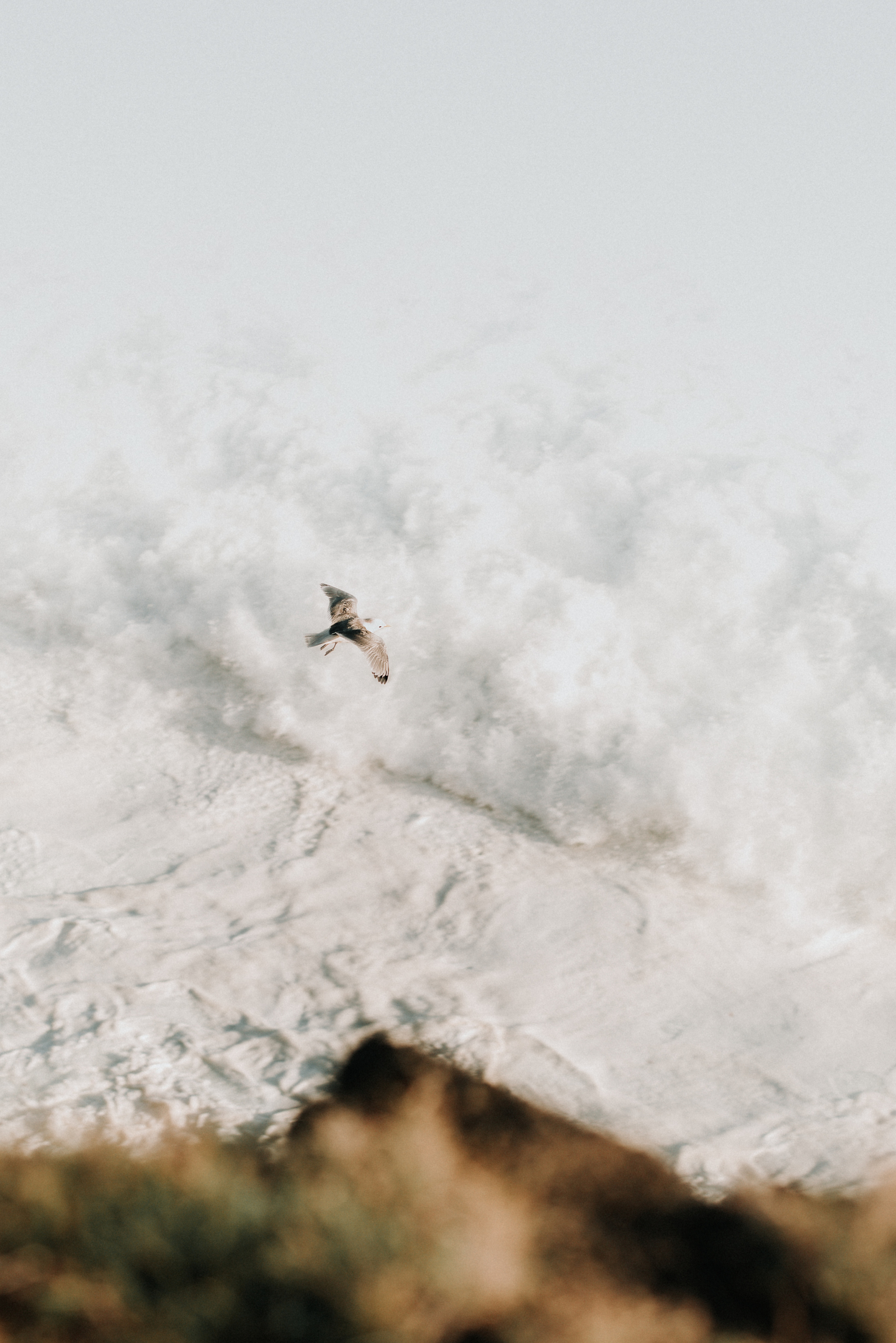 Couple sharing a kiss beneath the Northern Lights in Iceland.