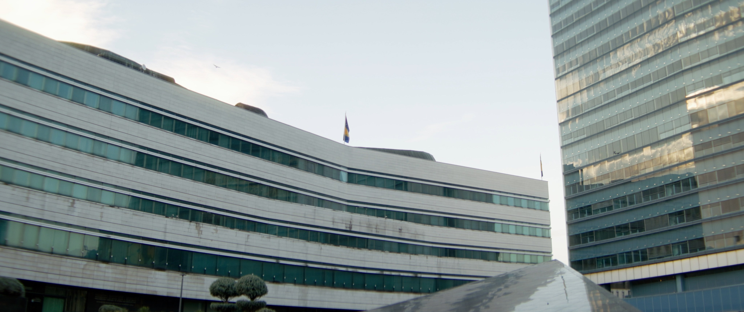 POD LUPOM. Ervin Golubović: Cinematographer and Director