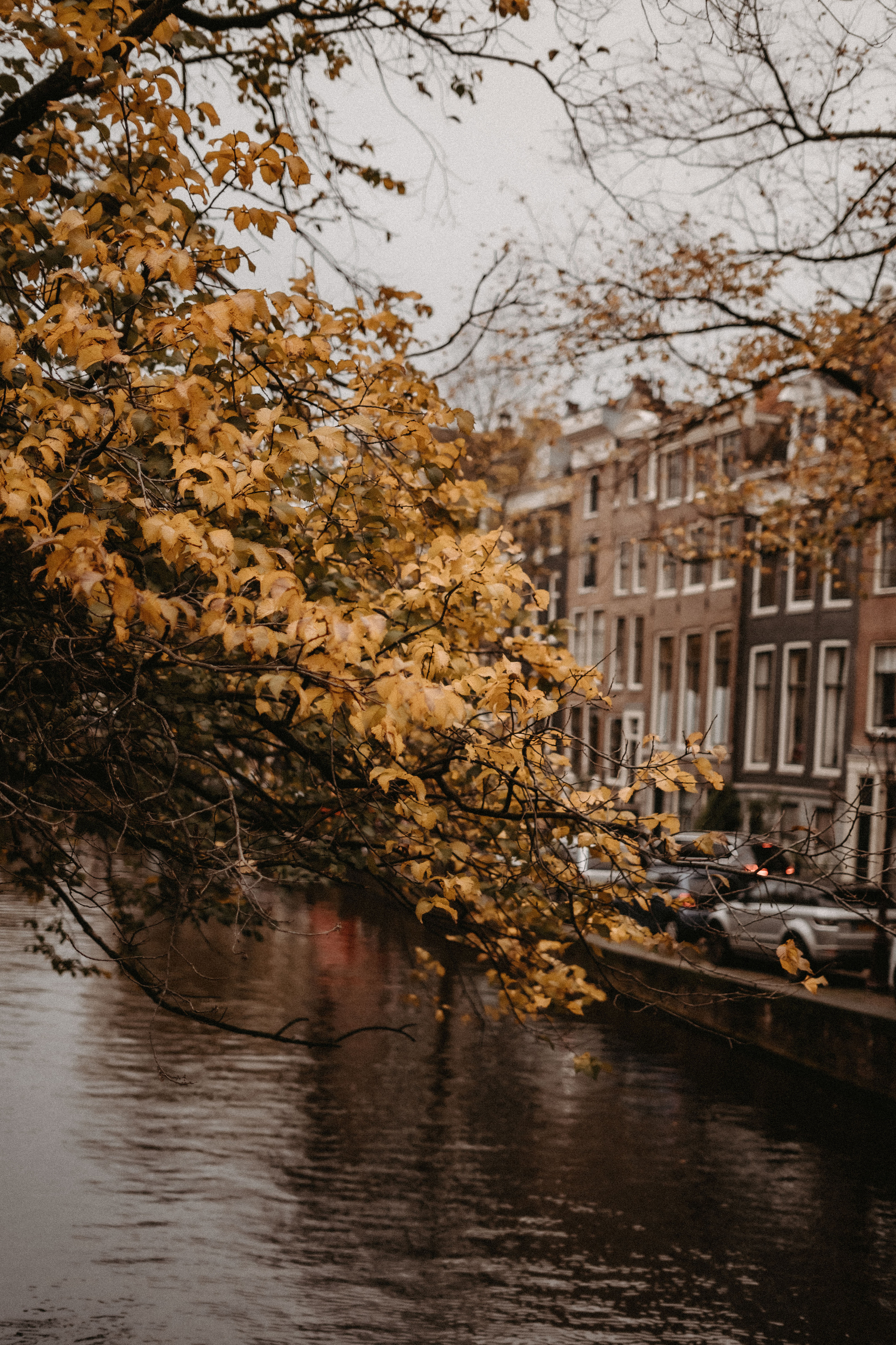 Amsterdam - Alina&Egor. Портретный фотограф из Берлина Daria Doch