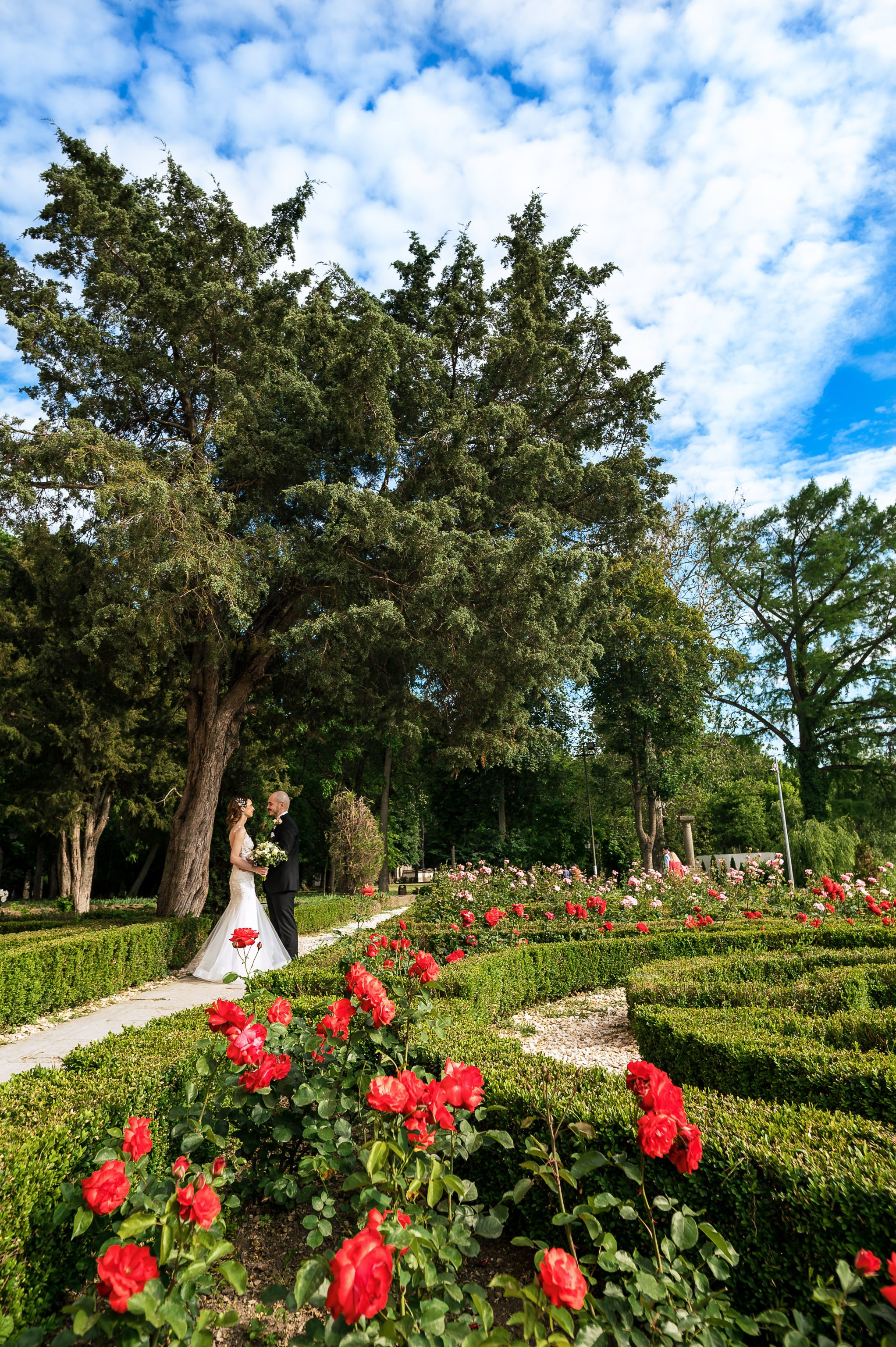 Andra&Andrei | Domeniile Saftica. Claudiupaunica.ro