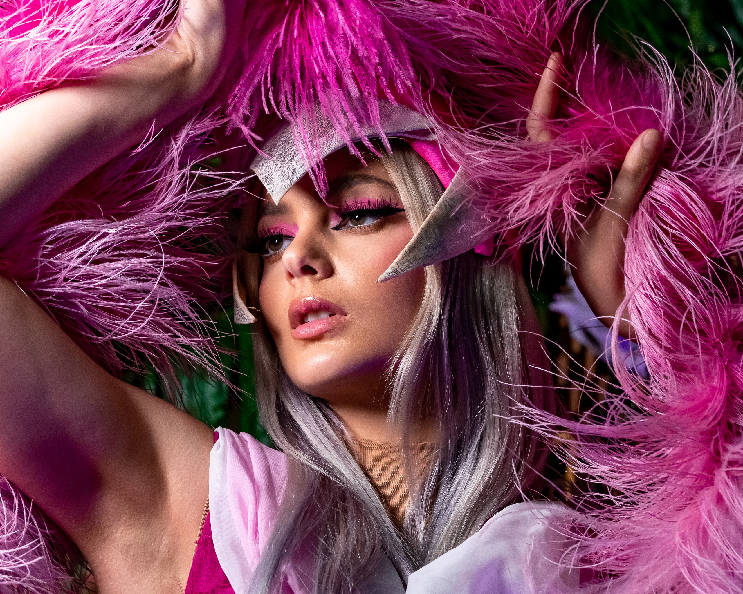 Enchanted. Sam Jobi Media