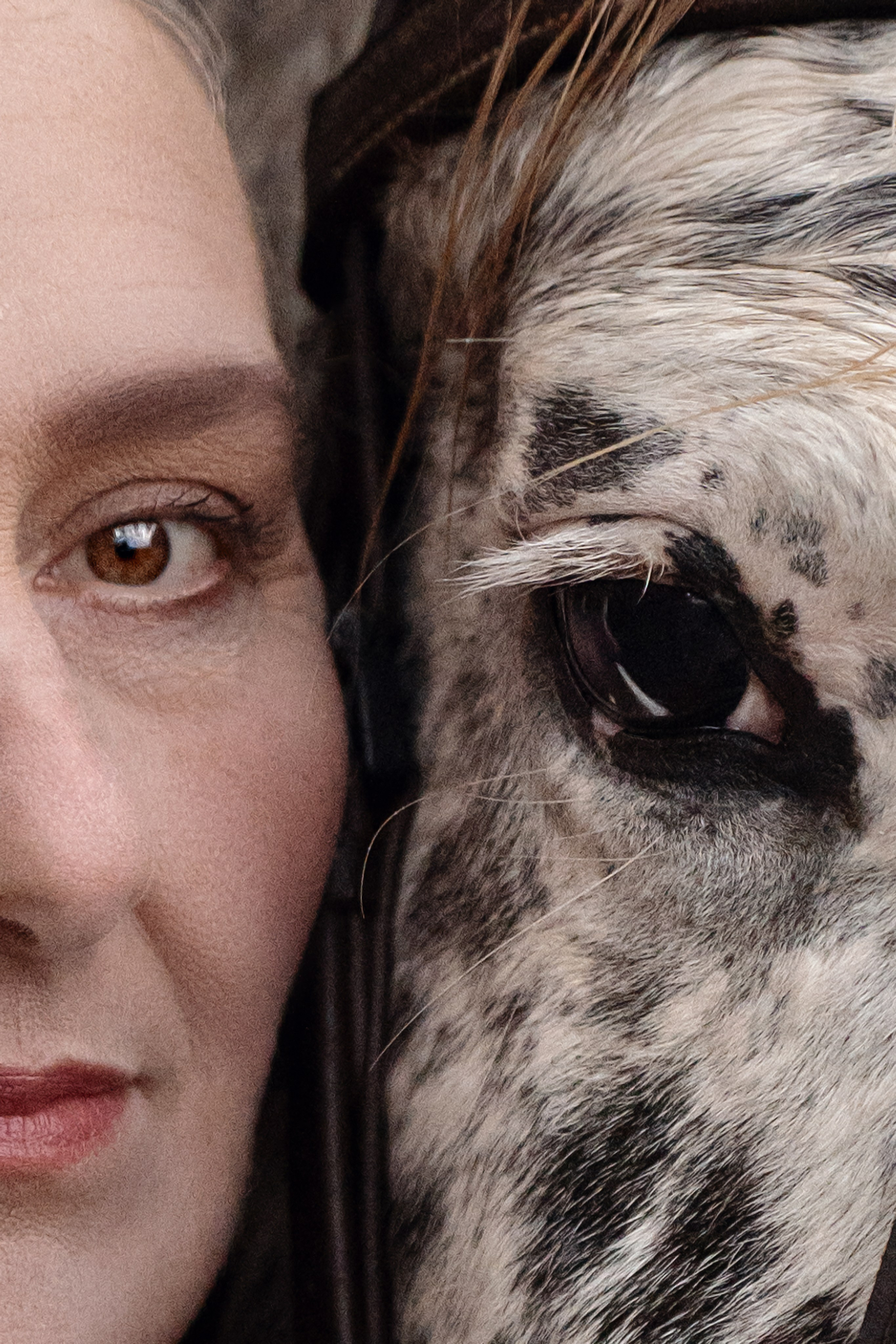 Geschichten mit dem Pferden. Kinder und Familienfotografie Wittlich und Trier Umgebung