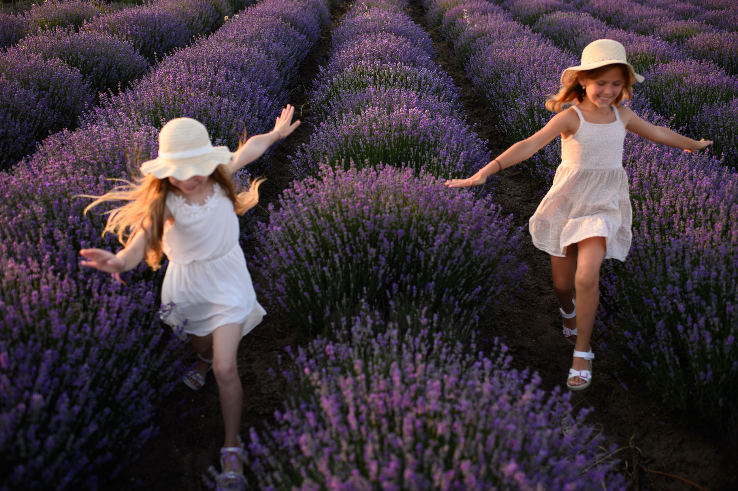 Lavender Field. Семейная, детская, портретная и предметная фотосъемка в Салониках