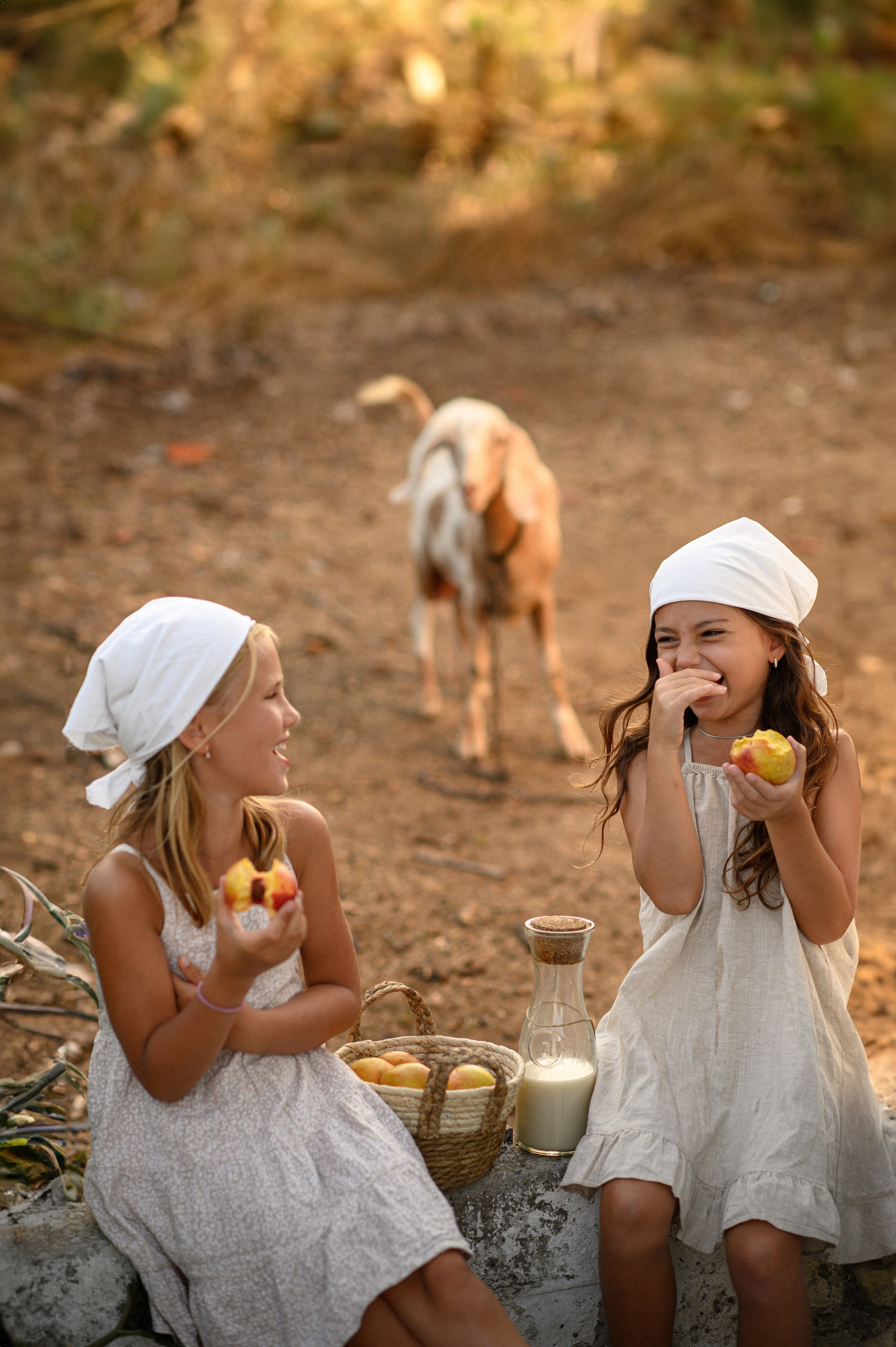 Goat. Семейная, детская, портретная и предметная фотосъемка в Салониках