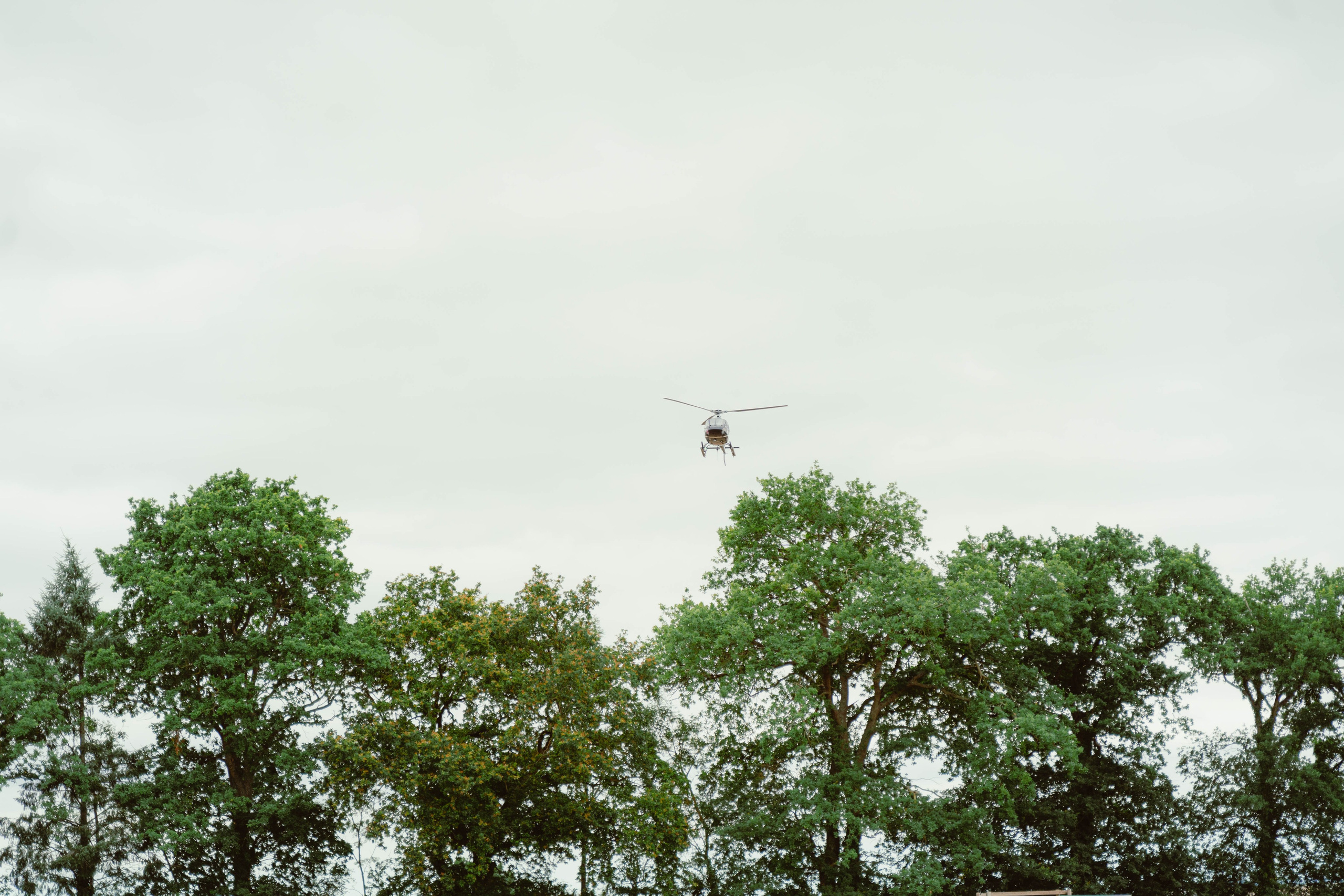 Claire & Cyril. Weeding photographer / event / portrait