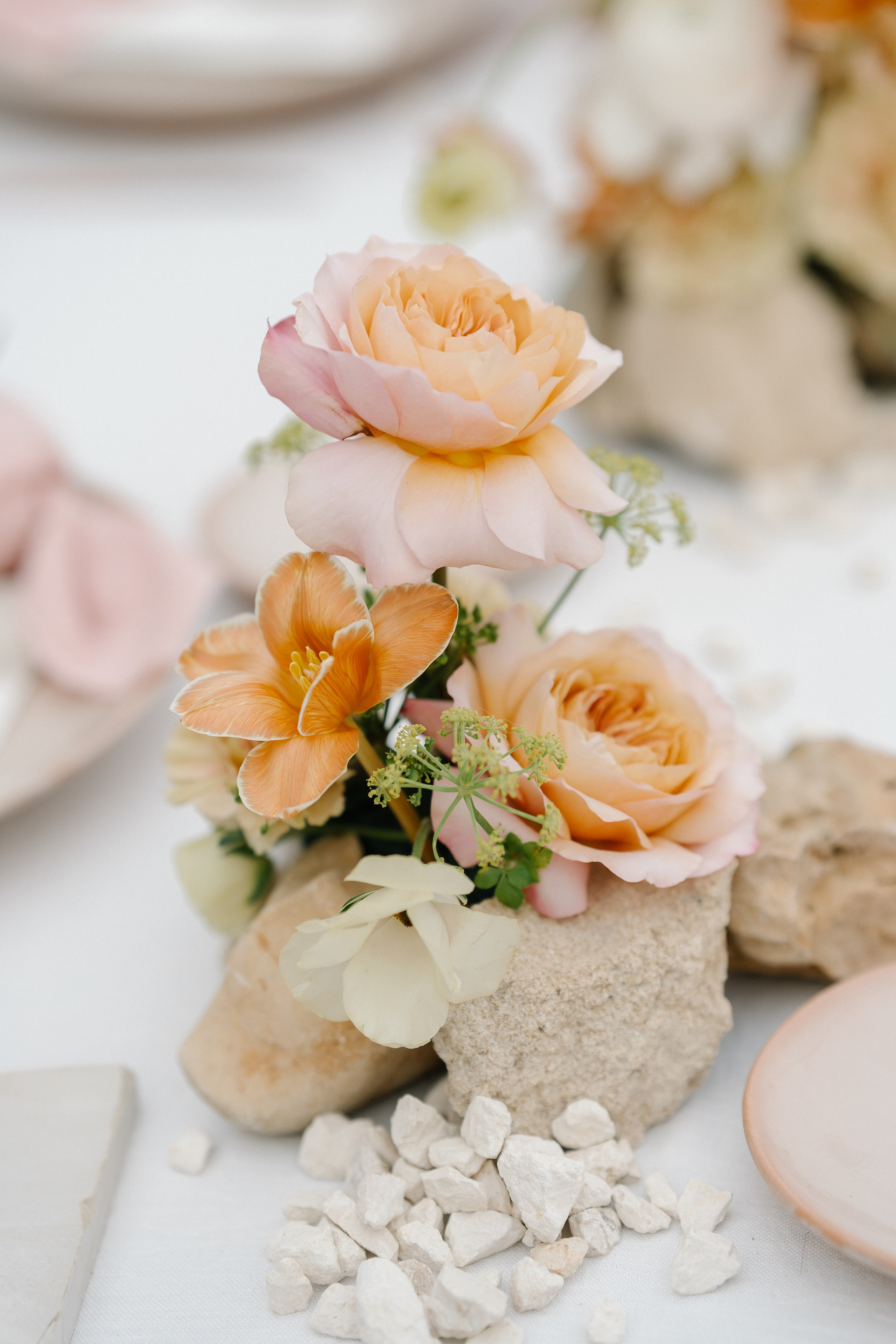 Alyssa&Sean. Весільний фотограф Вікторія Саврук